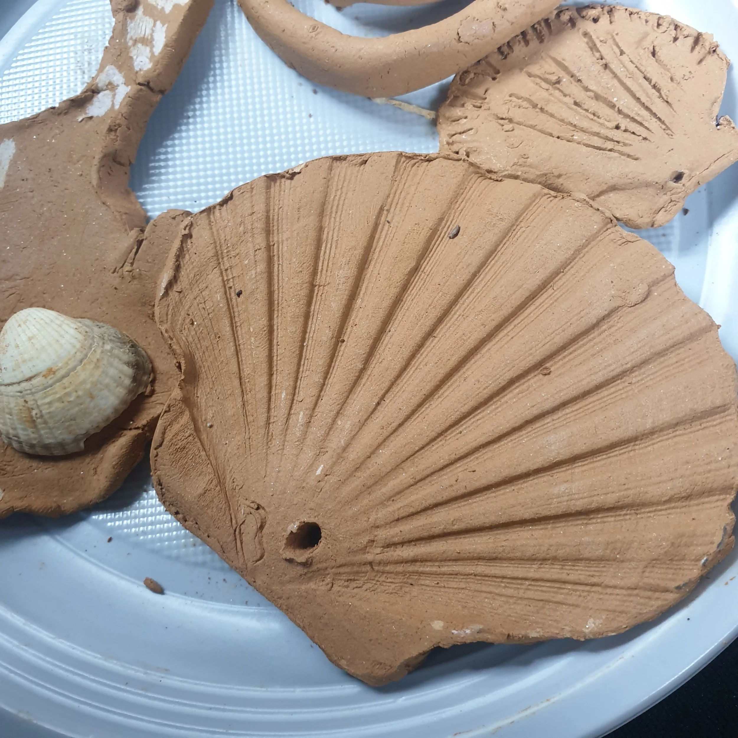 Clay crafts are very popular for the children.
