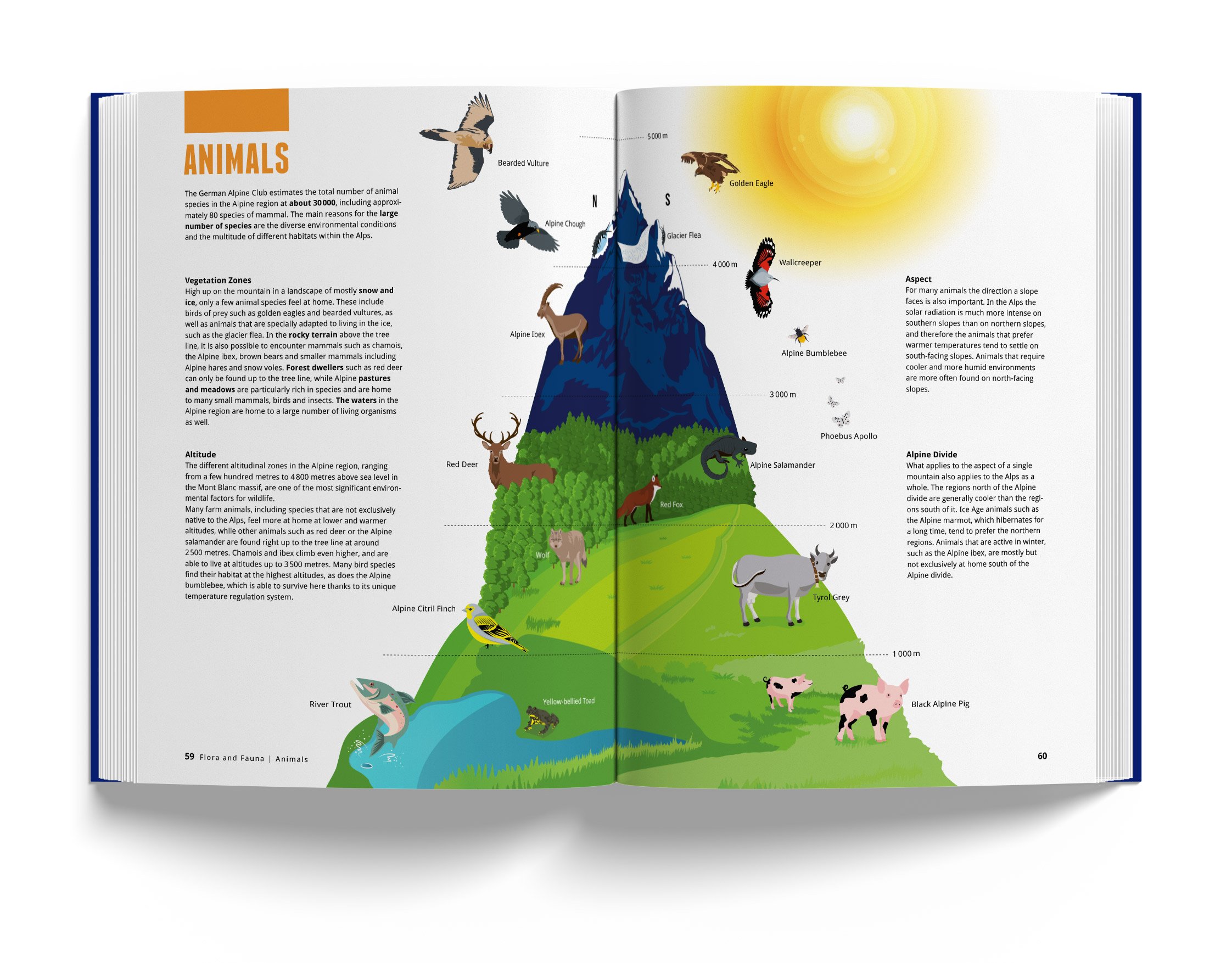 Book-of-the-Alps_MarmotaMaps_11_Animals.jpg