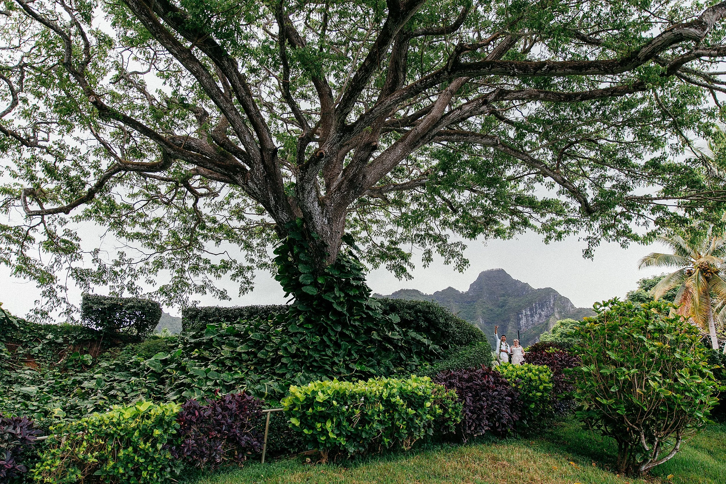 Alicia Ray Married At Moli I Gardens Secret Island