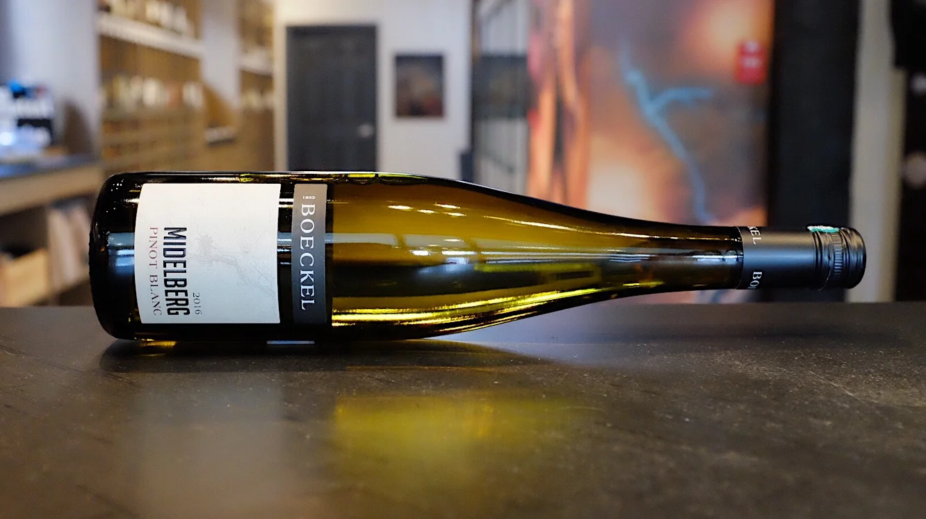 pinot blanc.jpeg