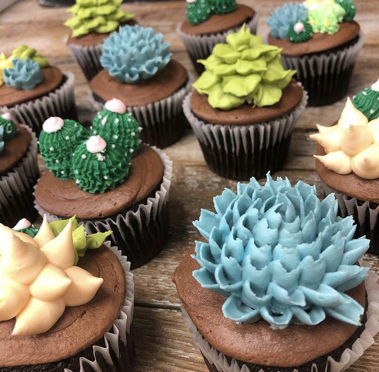 Suculent Cupcakes 2.jpg