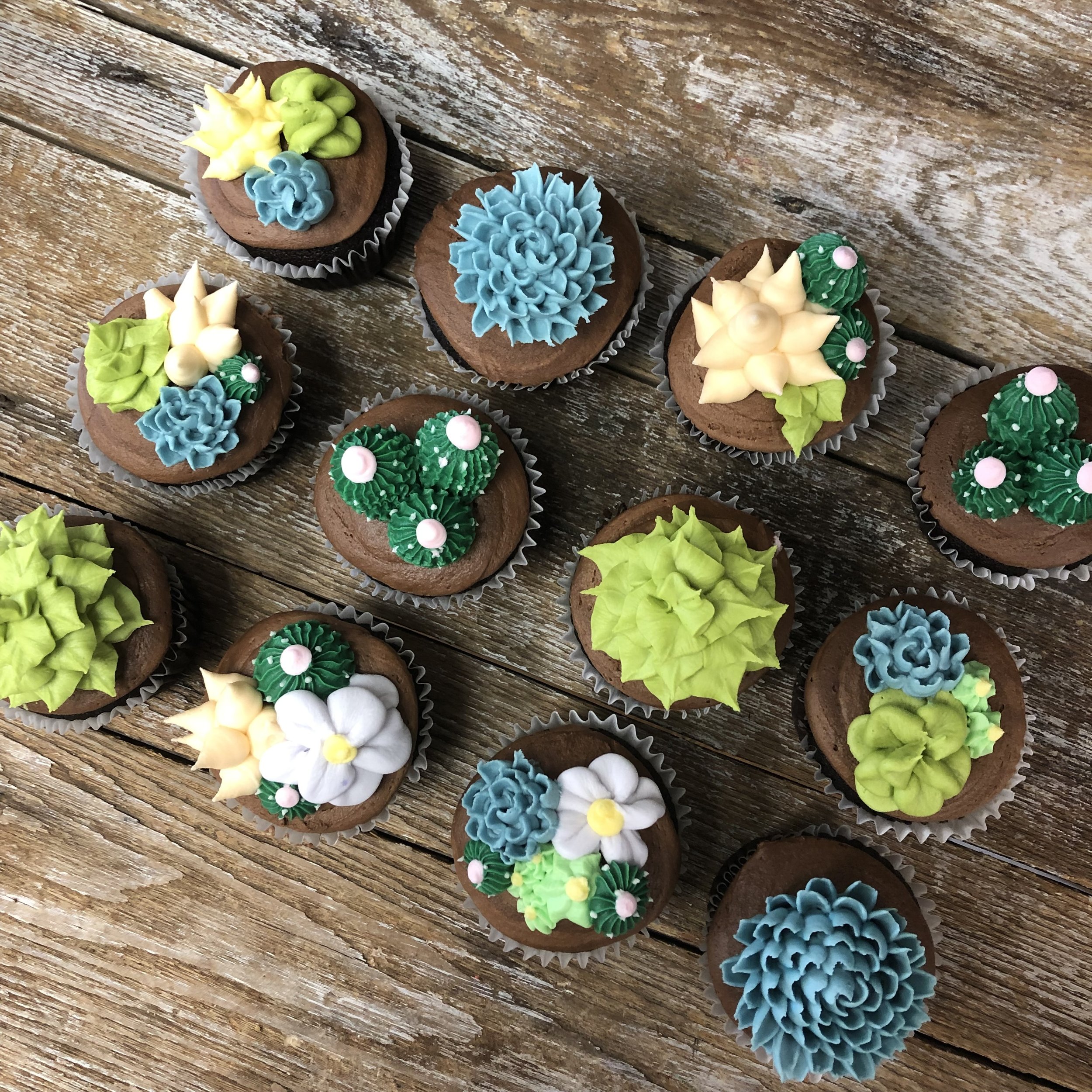 Suculent Cupcakes.jpg