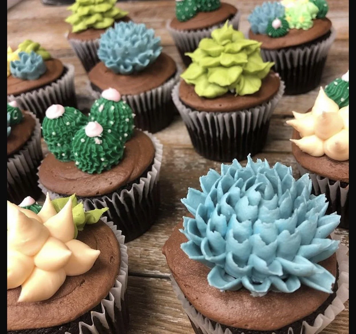 Succulent Cupcake Class September 6th @ 4:15 p.m.