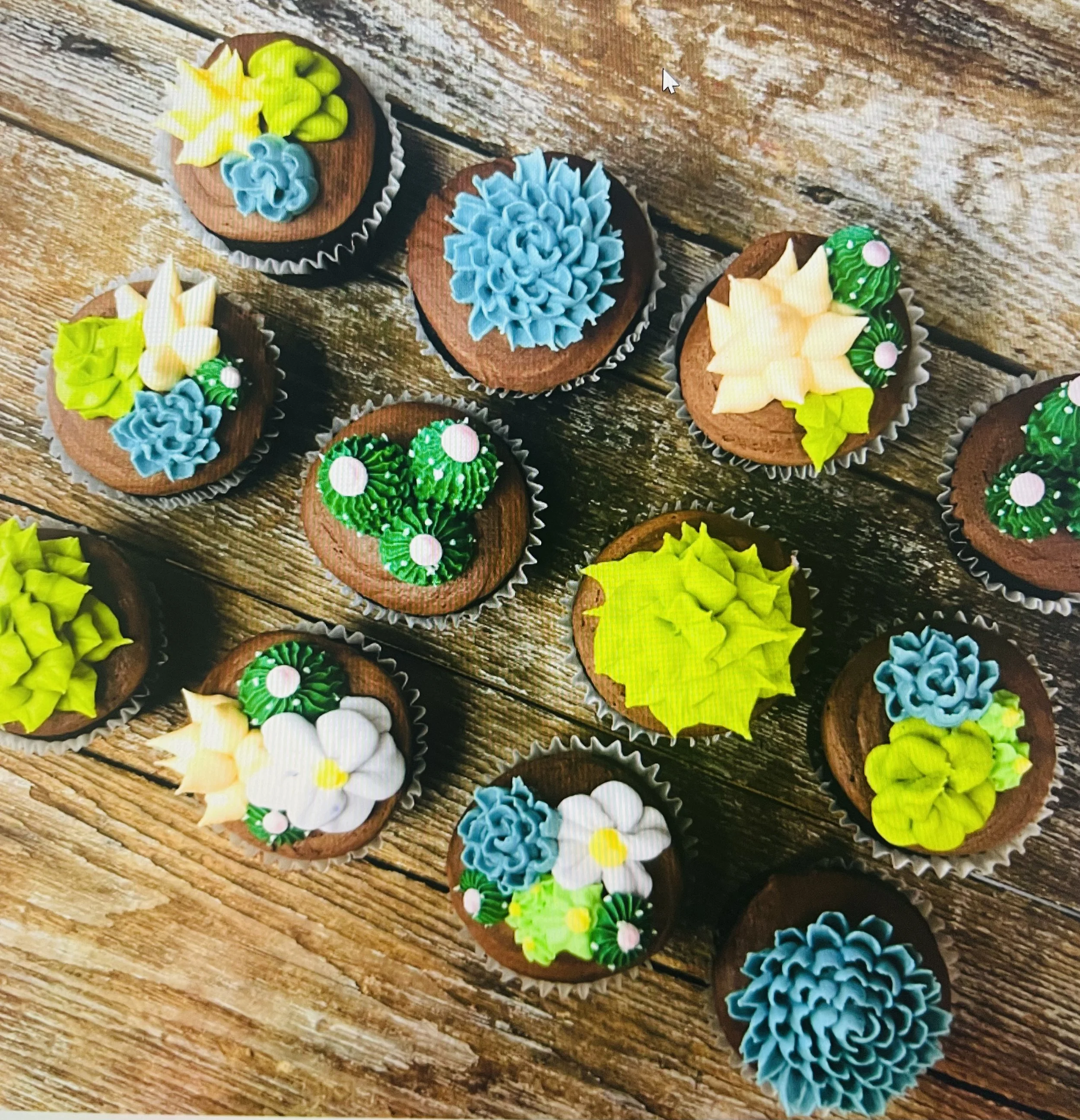 succulent 2.jpg