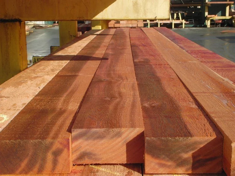 western red cedar3 .jpg