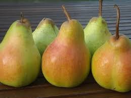 Harrow crisp pear.jpg