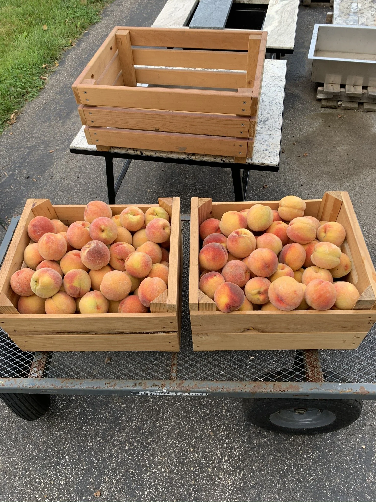 peaches.JPEG