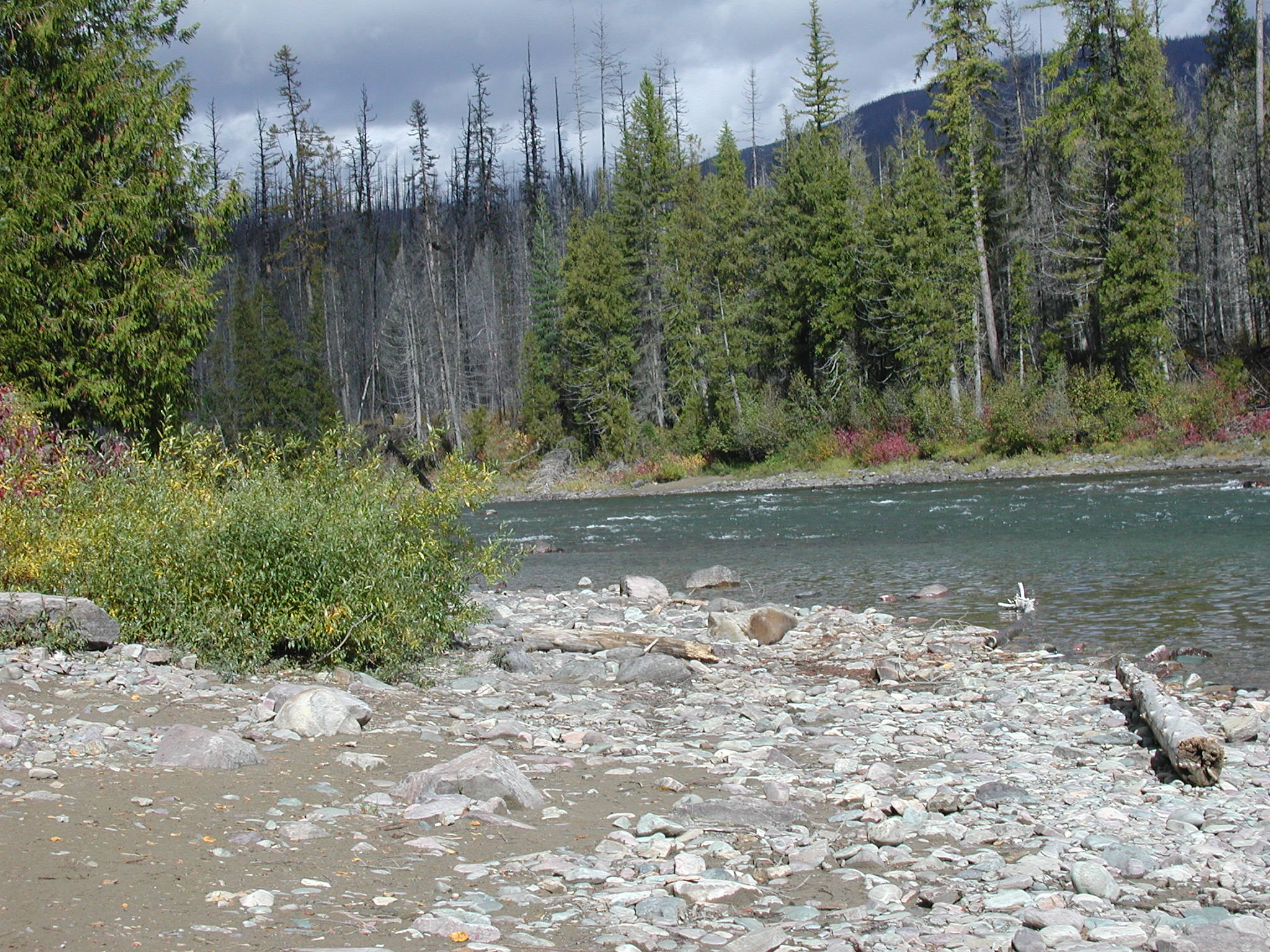 P1010006.jpg