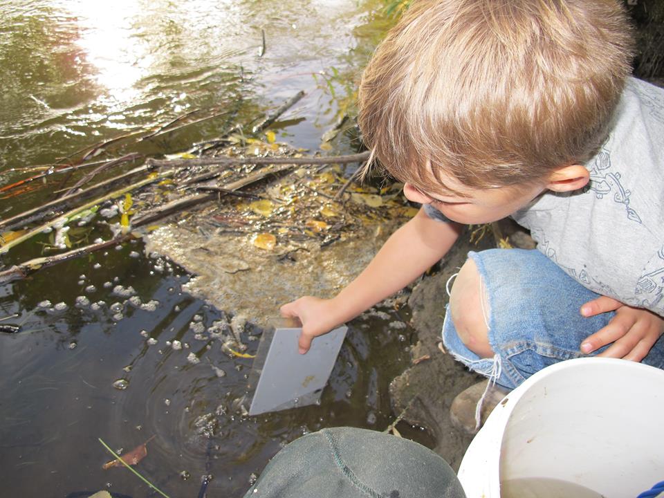 kid doing chena salmong.jpg