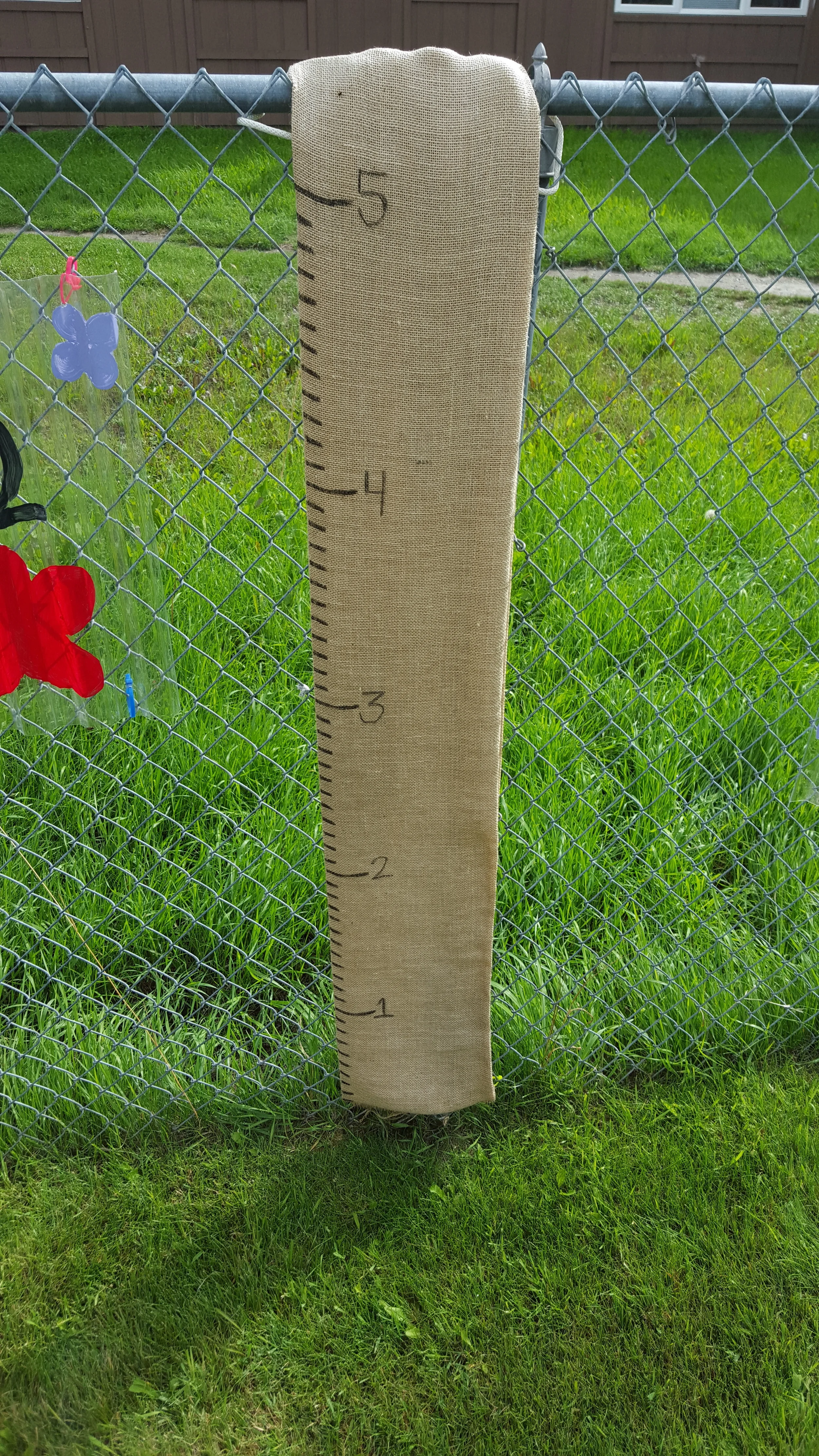 20150819_121524.jpg