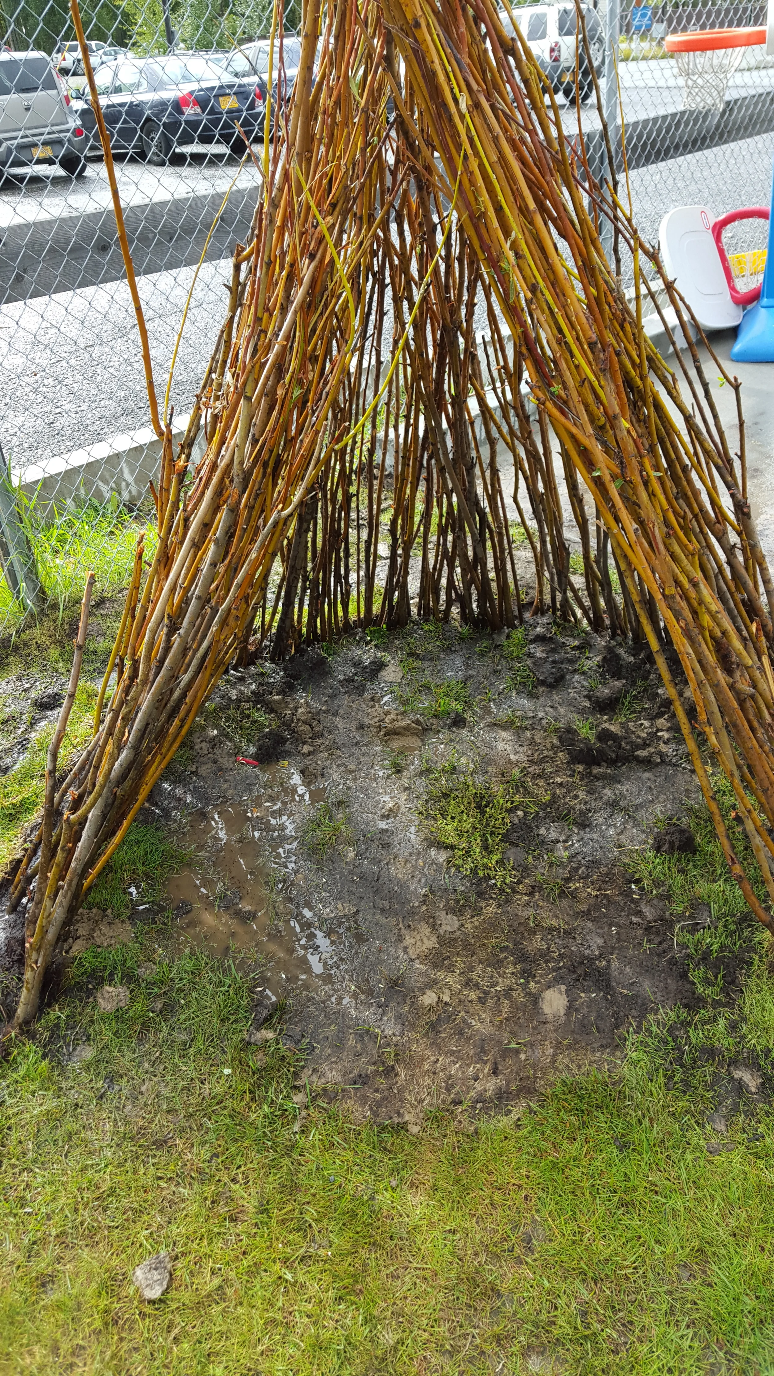 20150819_140343.jpg