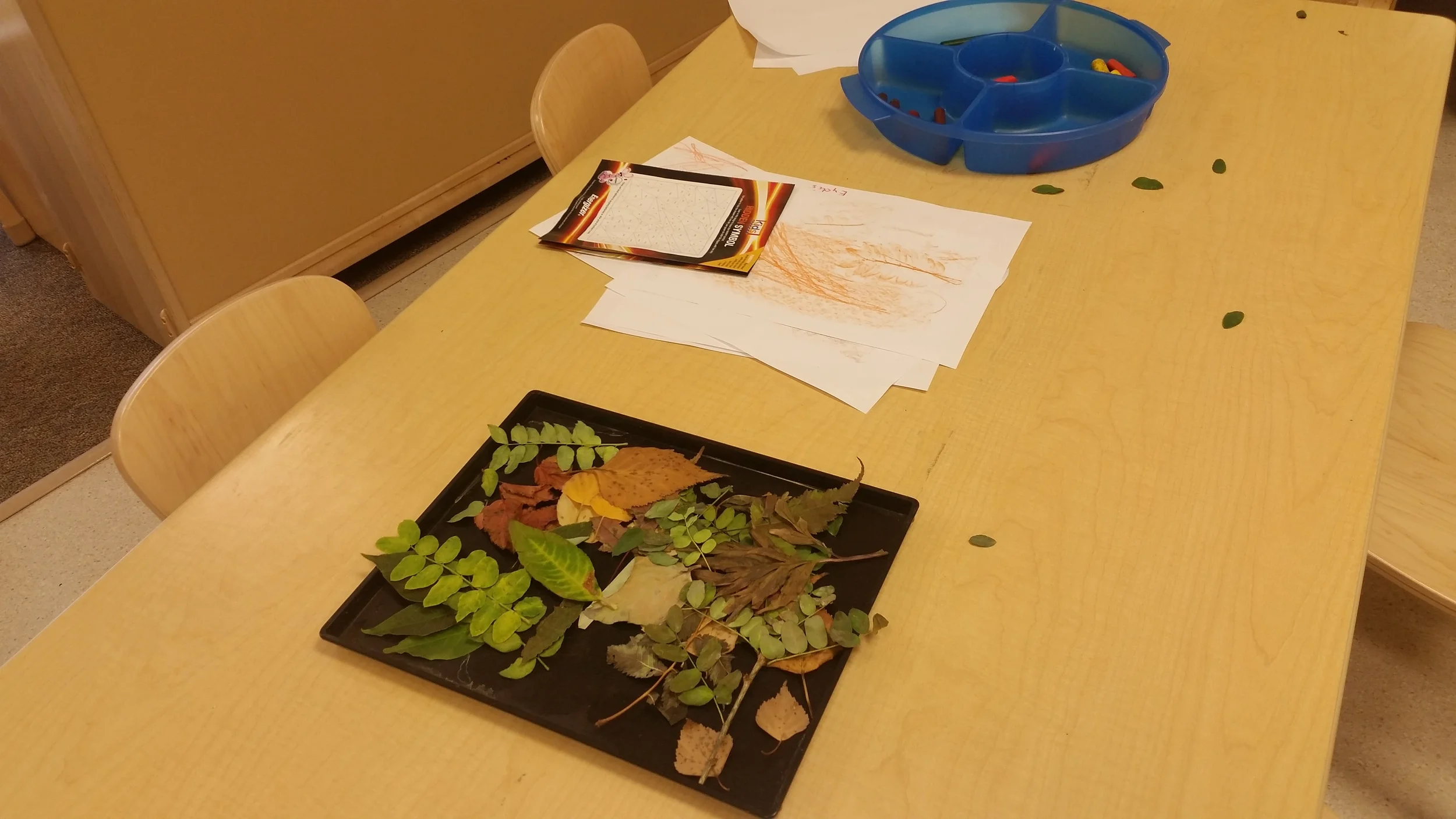 20150918_170632.jpg