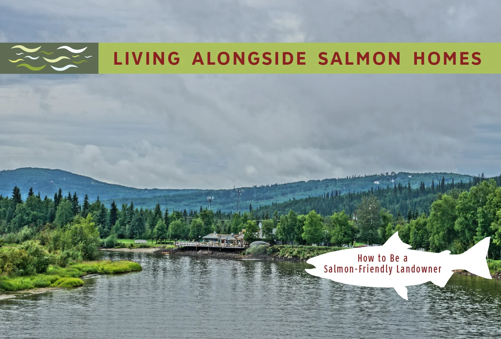 salmon book front.jpg