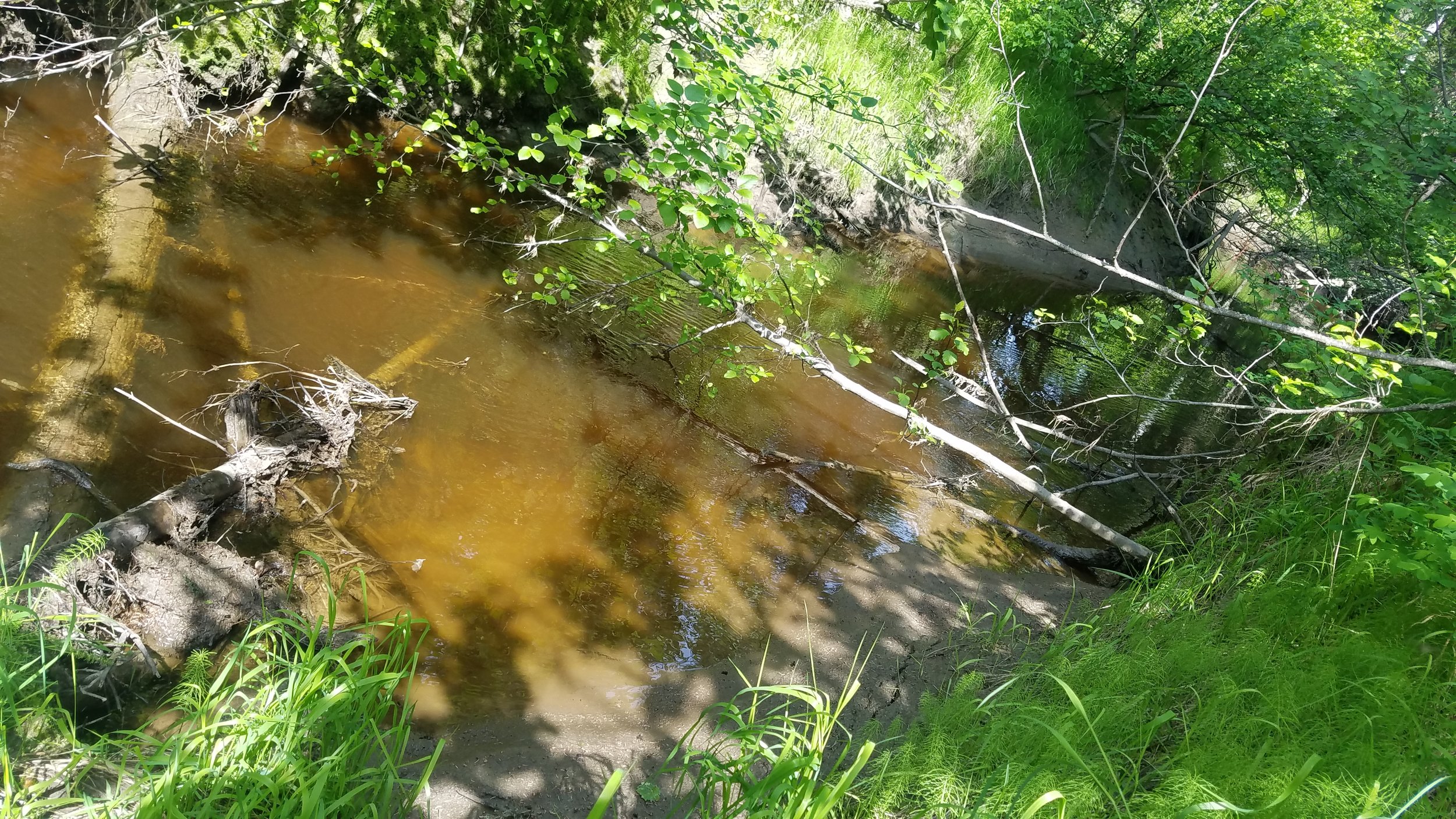 20180613_135929.jpg