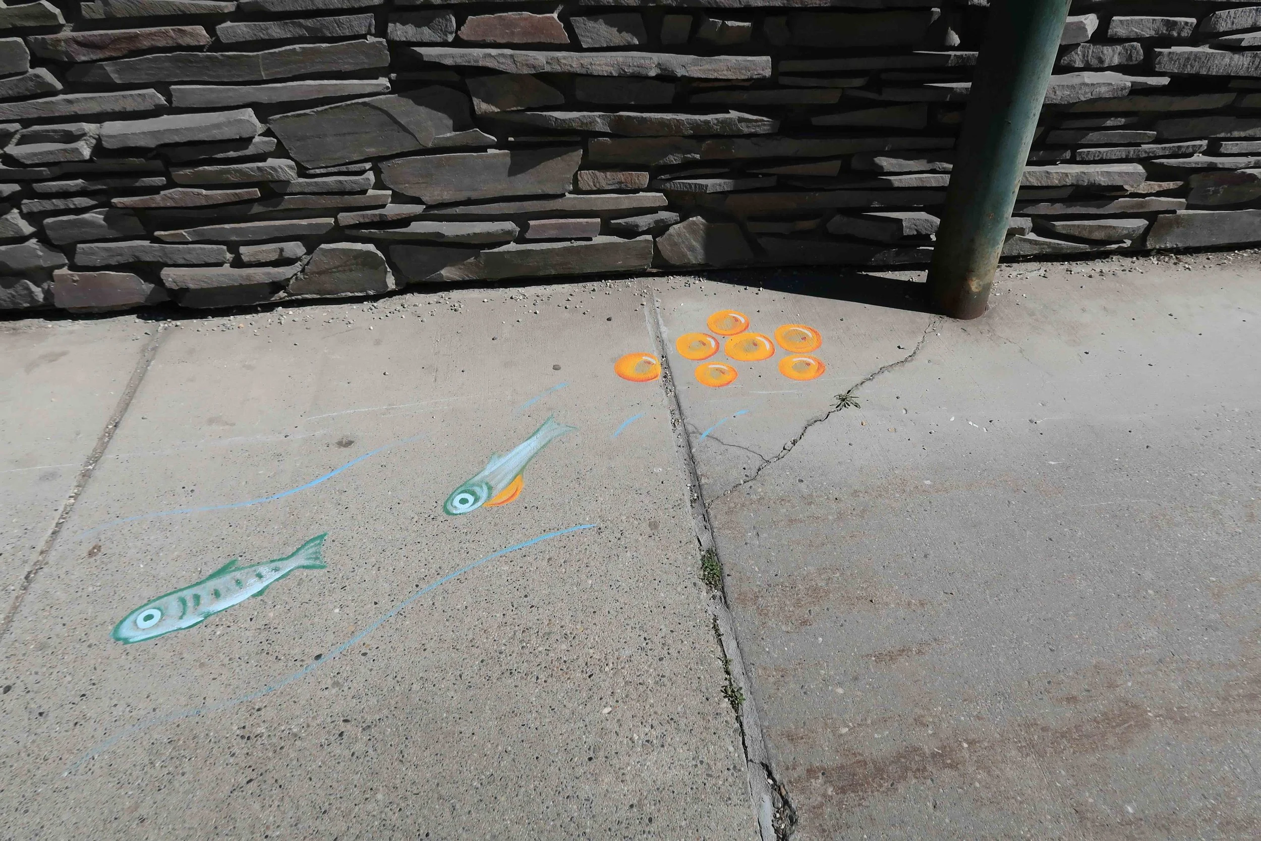 TVWA Storm Drain Art_cmd_ (27).jpeg