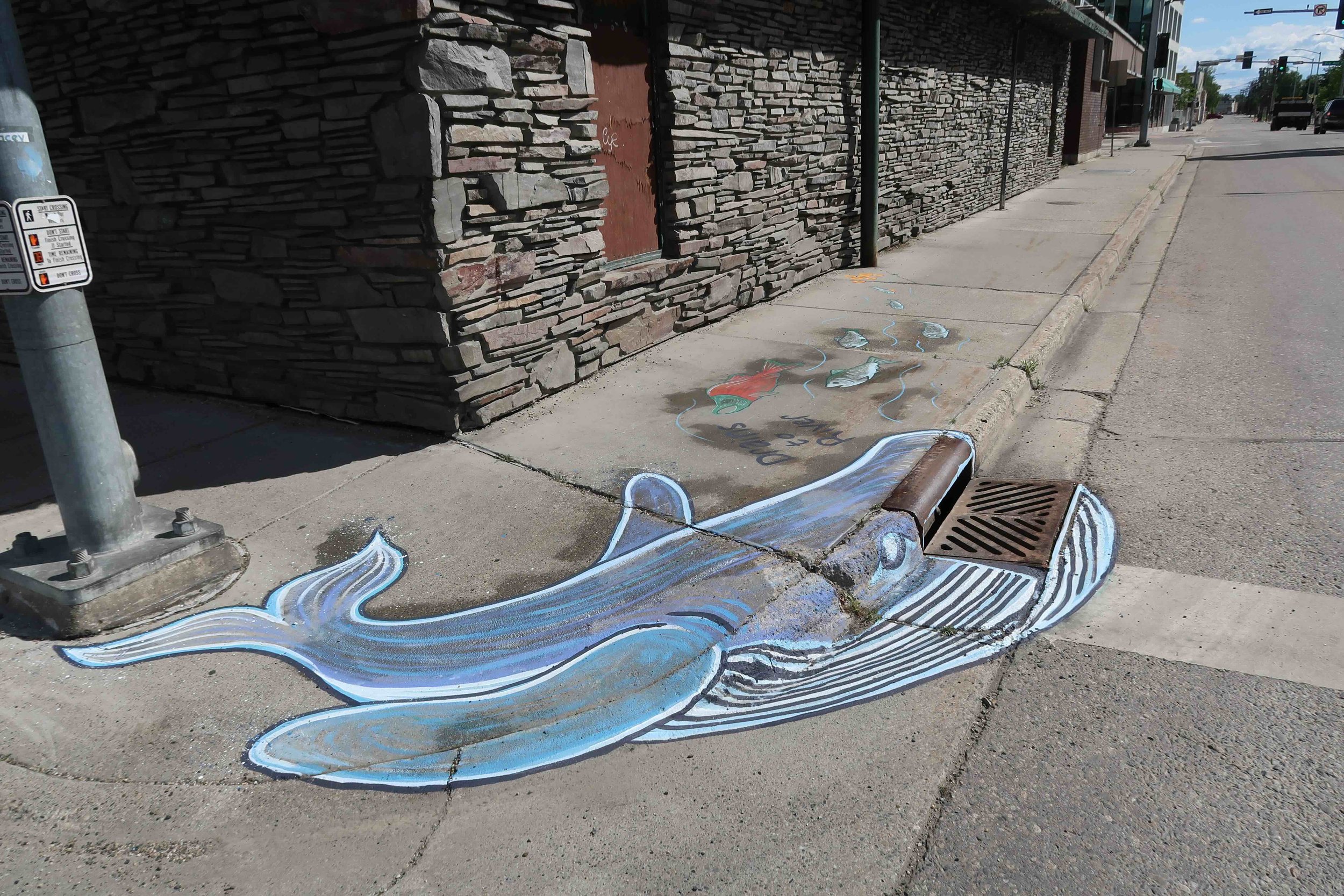 TVWA Storm Drain Art_cmd_ (54).jpeg