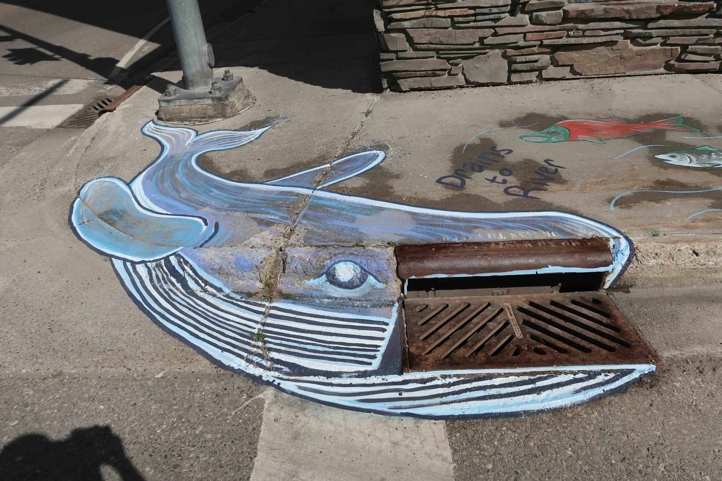 TVWA Storm Drain Art_cmd_ (55).jpeg