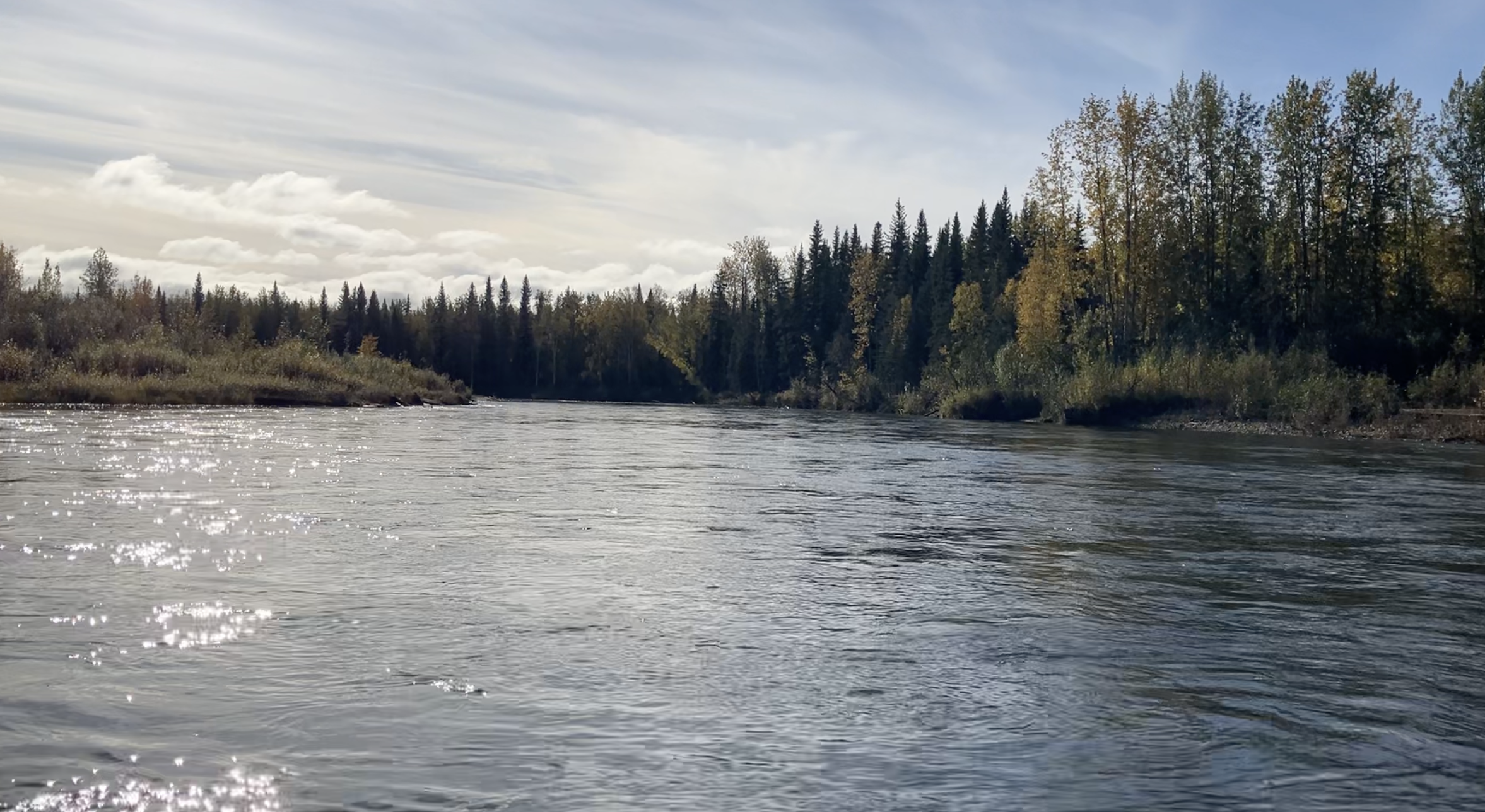 Screenshot 2026-02-26 at 1.41.01 AM.png