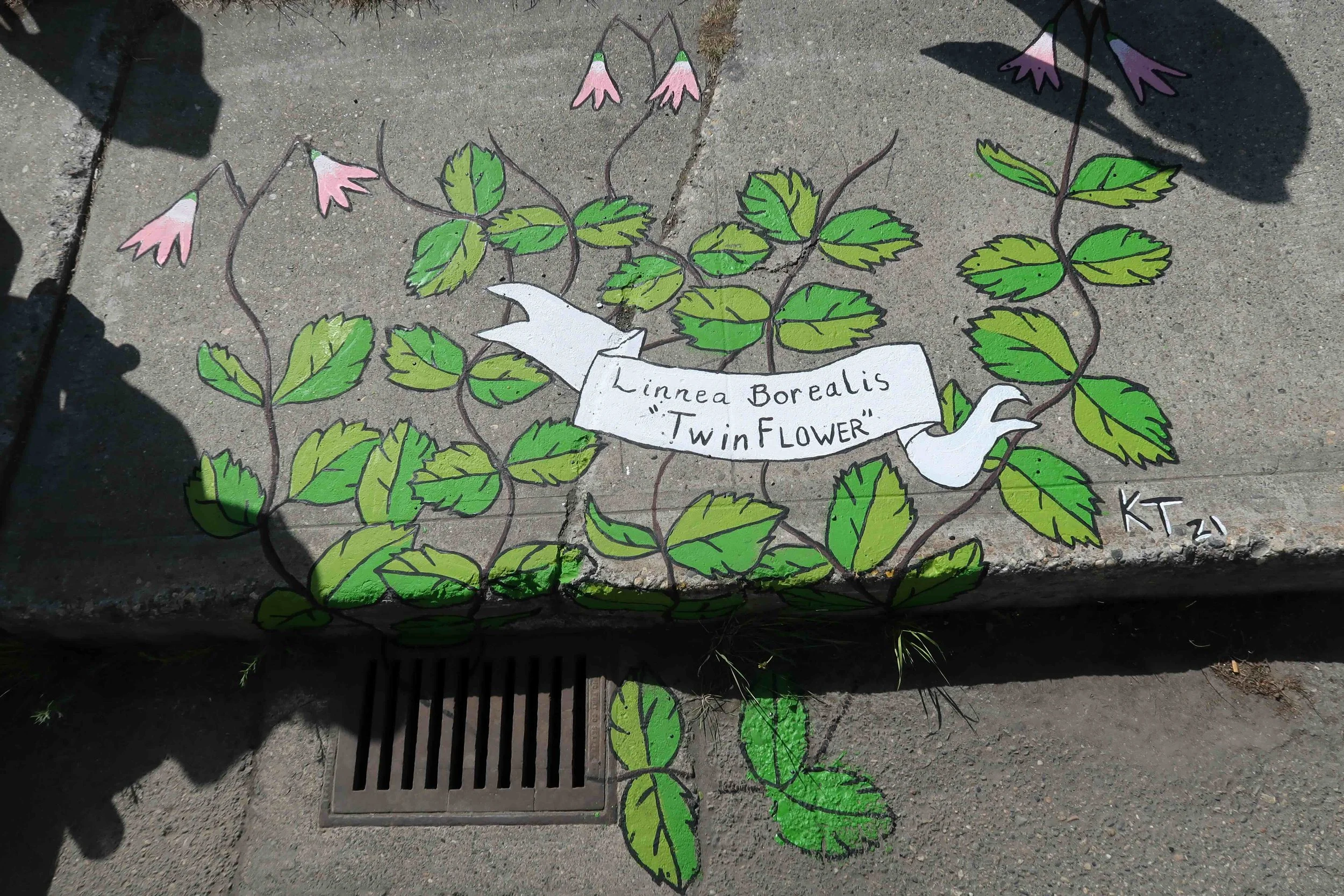 TVWA Storm Drain Art_cmd_ (68).jpeg