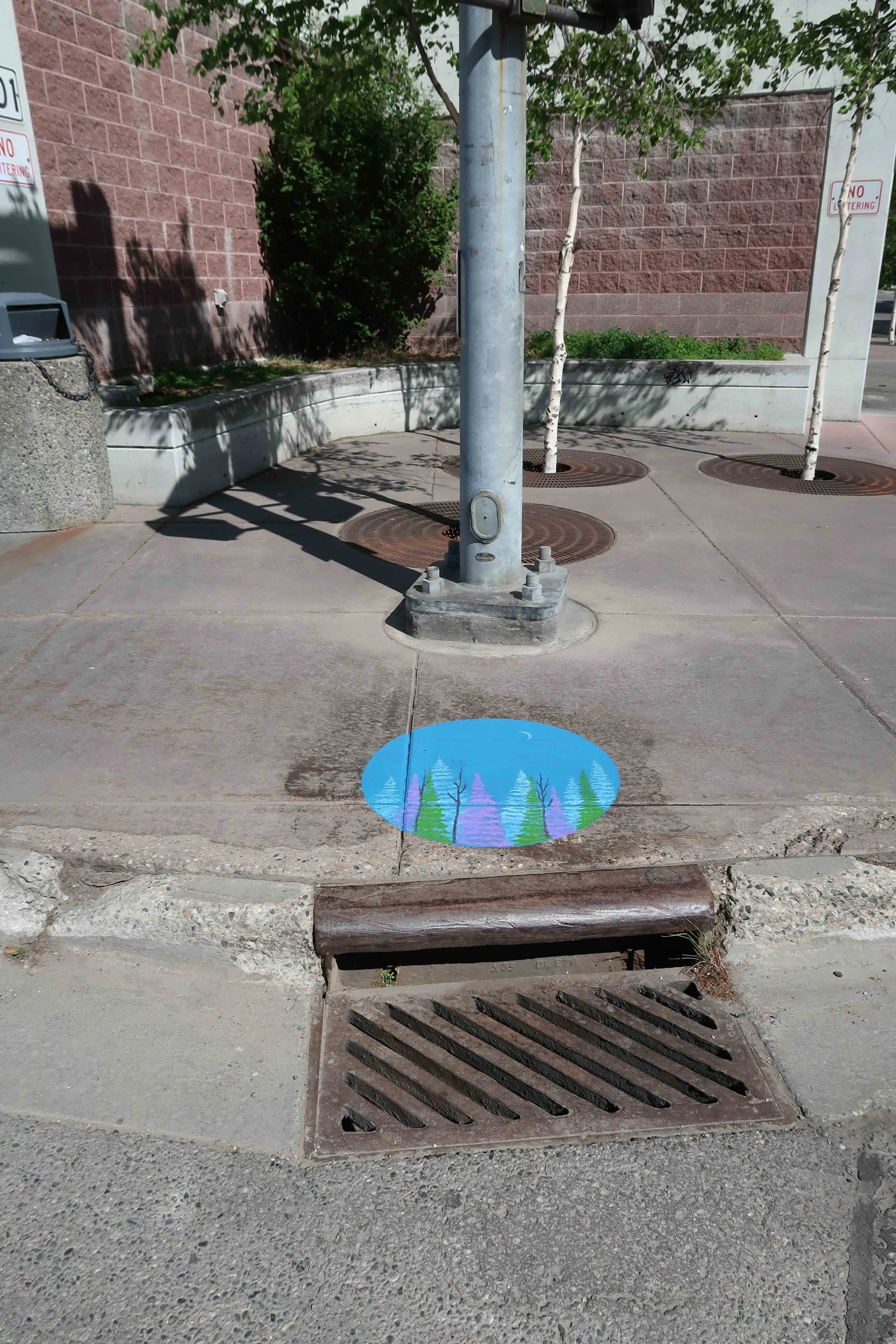 TVWA Storm Drain Art_cmd_ (41).jpeg