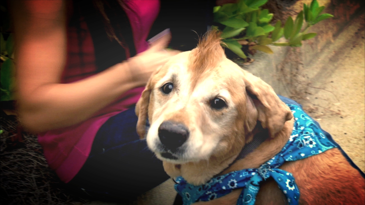 Best Hair: A web video for A&E's Shipping Wars