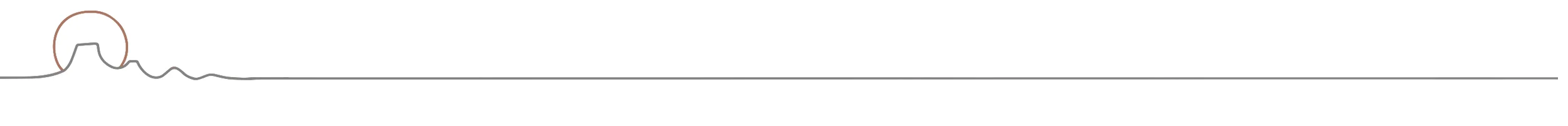 divider2.jpg