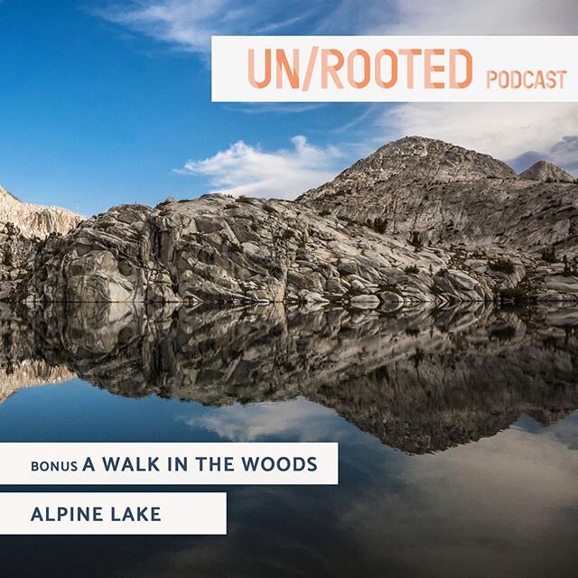 I am working on episode 7 of @unrootedpodcast, but for now, a bonus: an outdoor gift for these indoor days&ndash;&ndash;a guided auditory walk in the woods, to a high alpine lake in the high sierras! It might sound a little cheesy, but from personal 