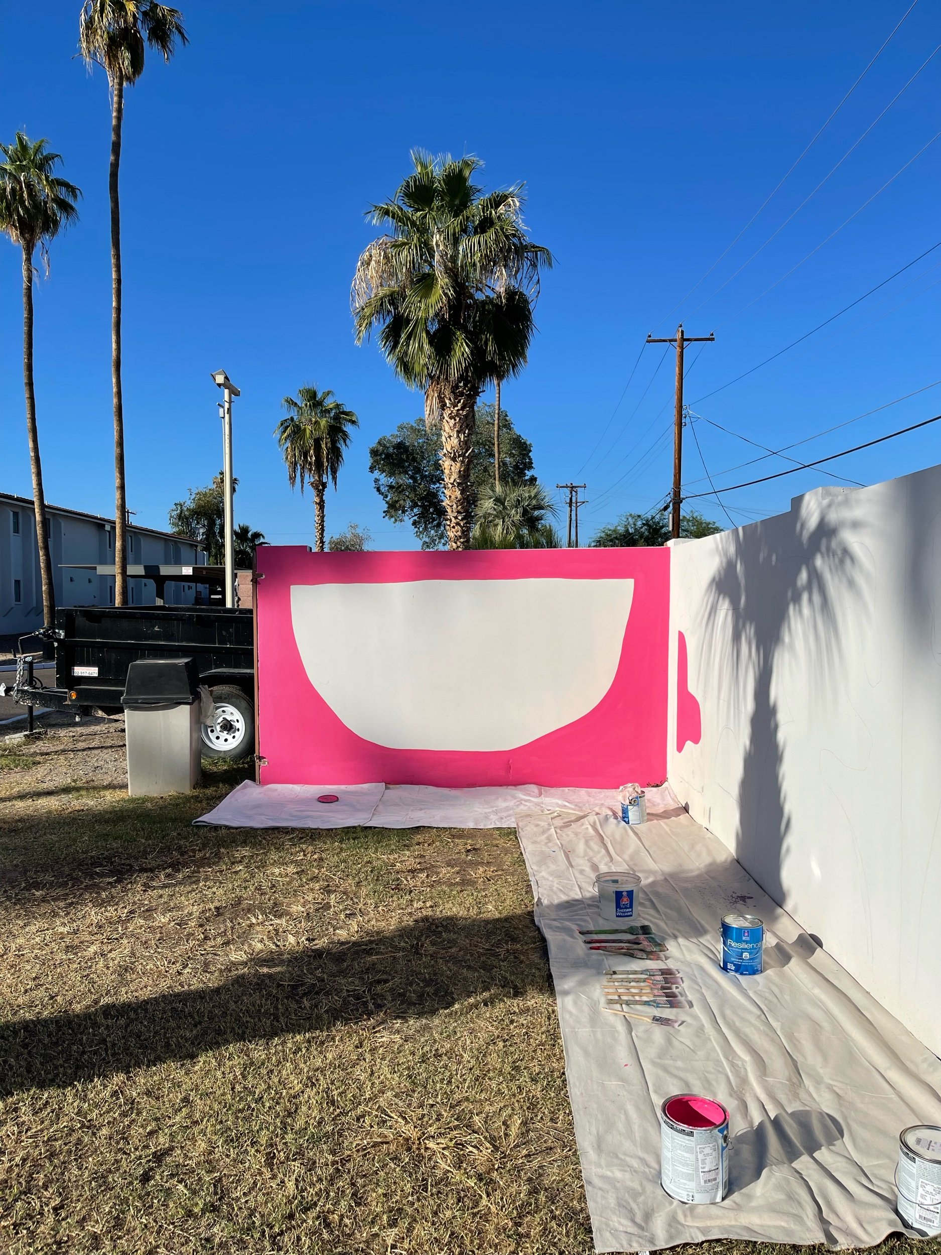 Mural project at Polanco Property in Scottsdale, AZ by artist Kyle Steed	