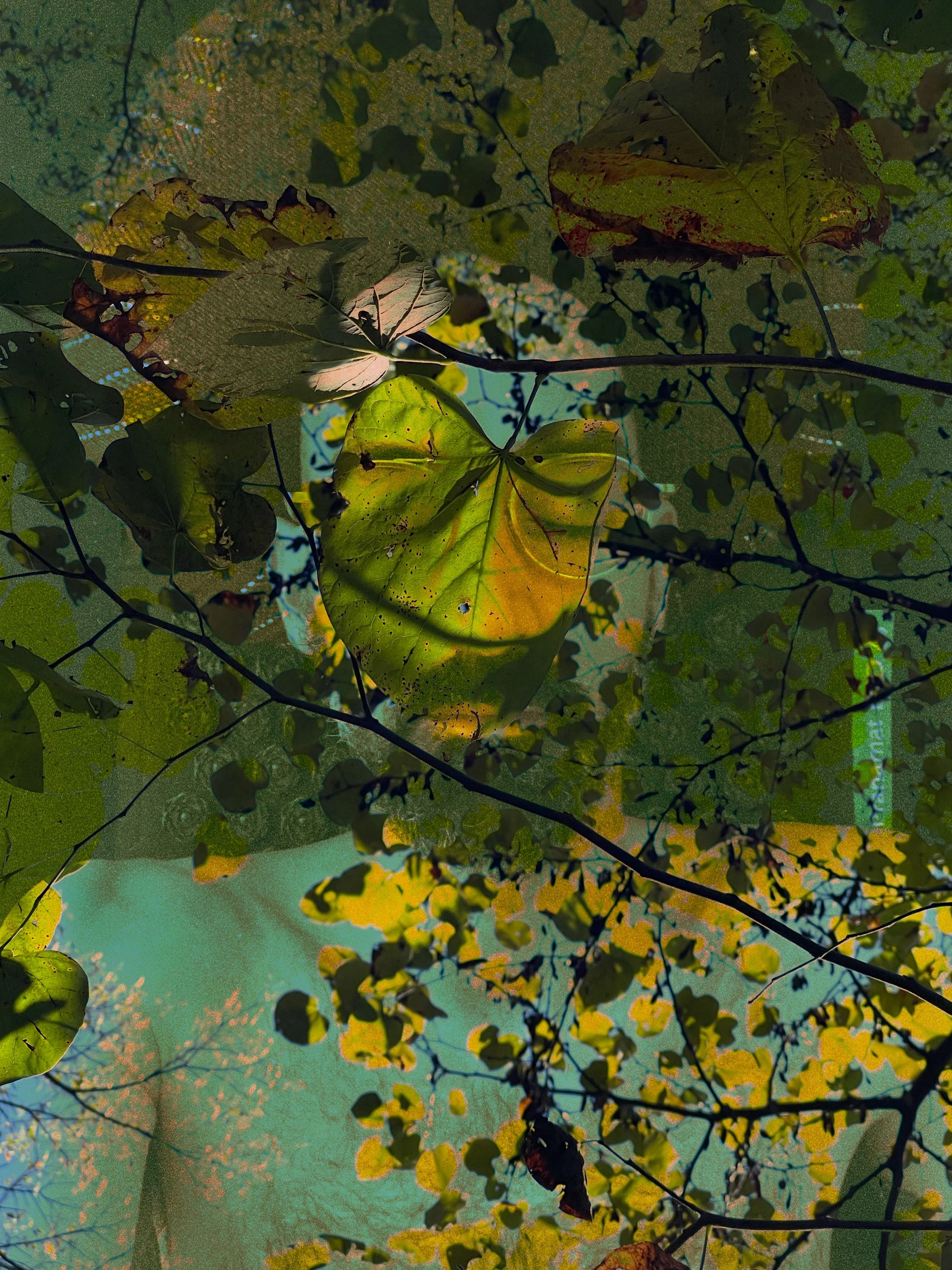 I was cool once: Or how I learned to let go