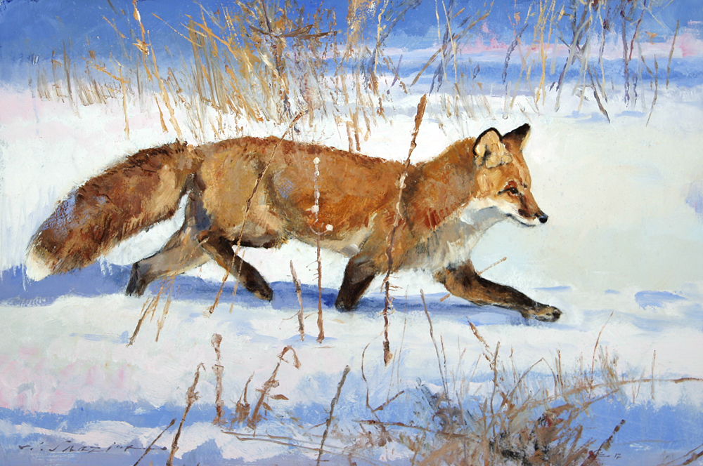“Fox in Fresh Snow” 20 x 30 Oil