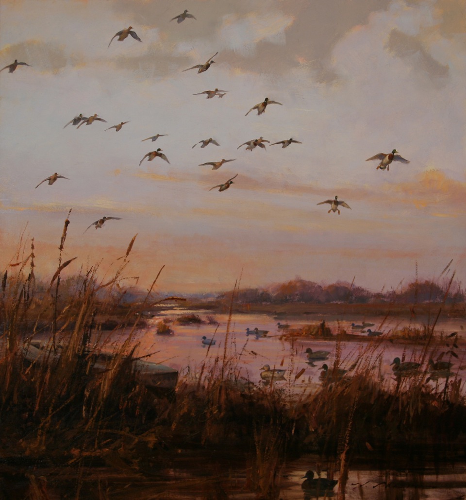 “Mallards at Dawn” 30 x 28 Oil