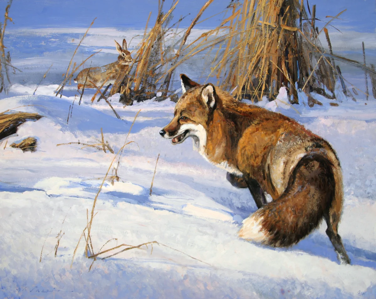 “Snow Tracker” 24 x 30 Oil