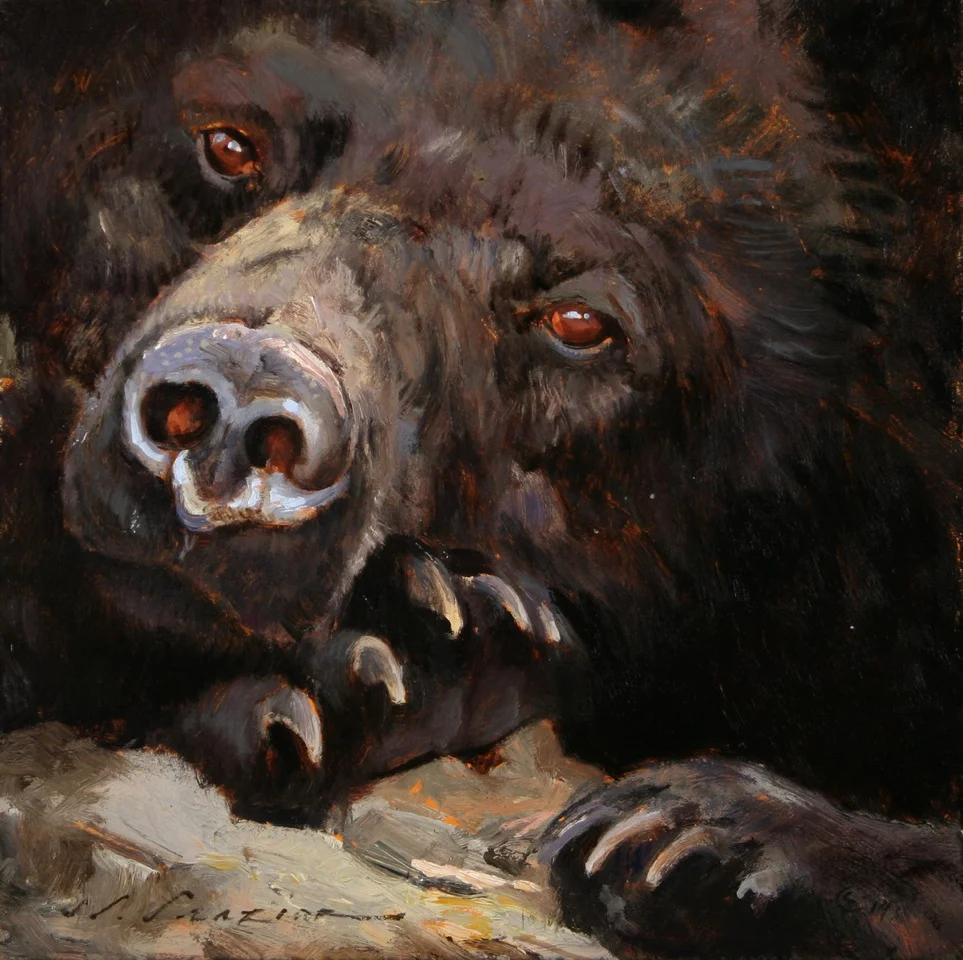 “Close Up” 12 x 12 Oil