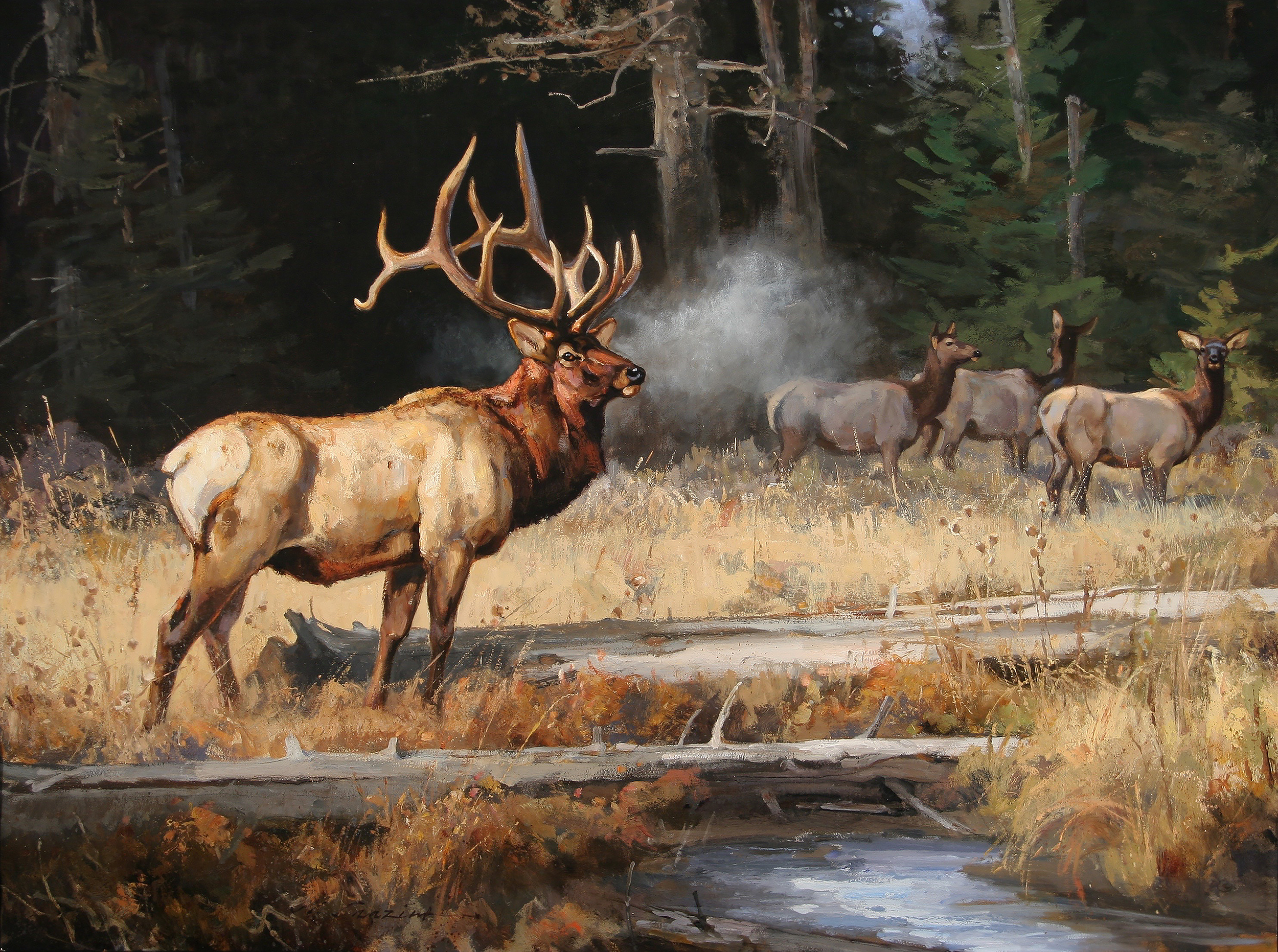 "Black Forest Sentinel" 36 x 48 Oil