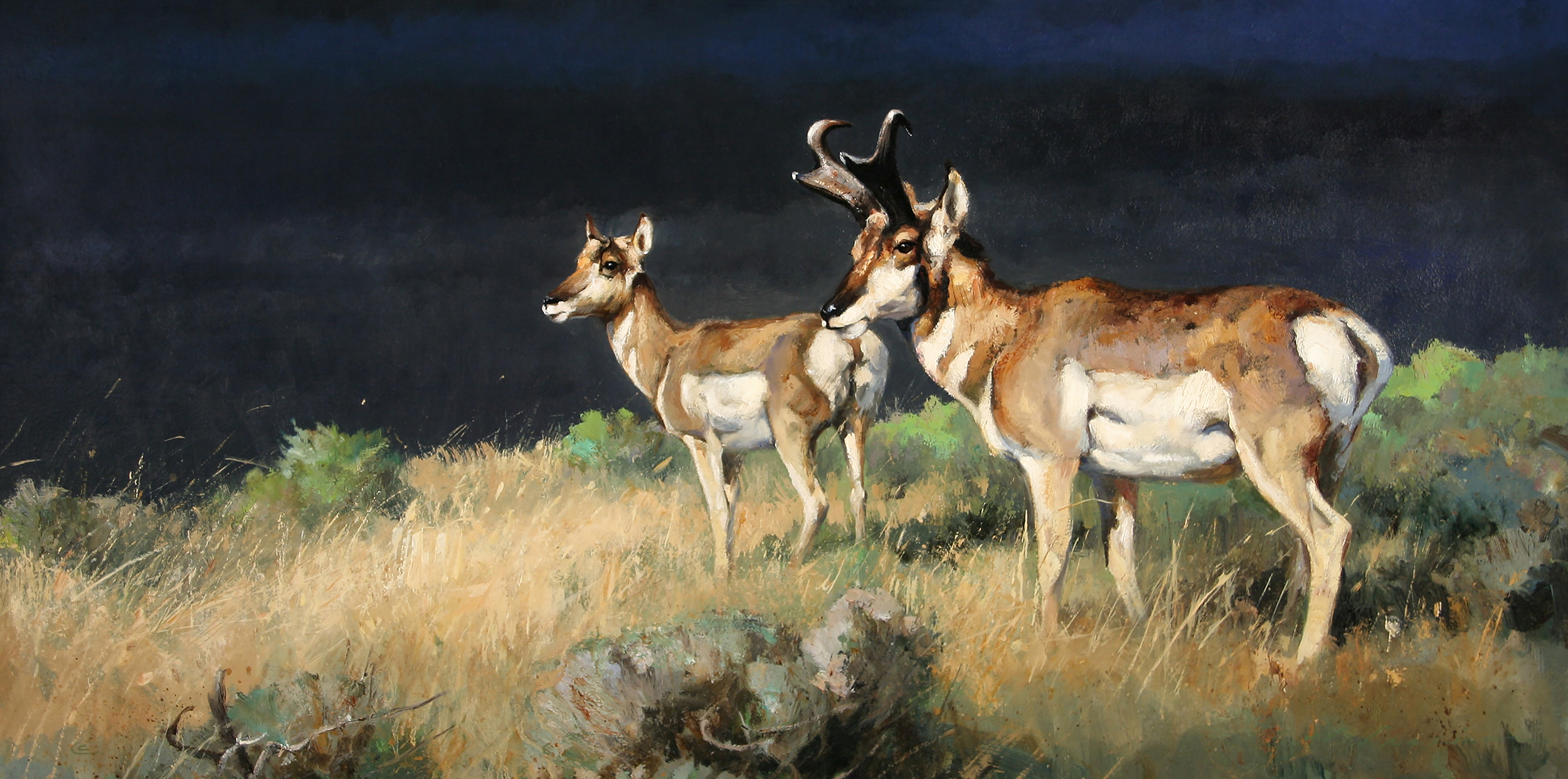 "Prairie Winds" 18 x 36 Oil