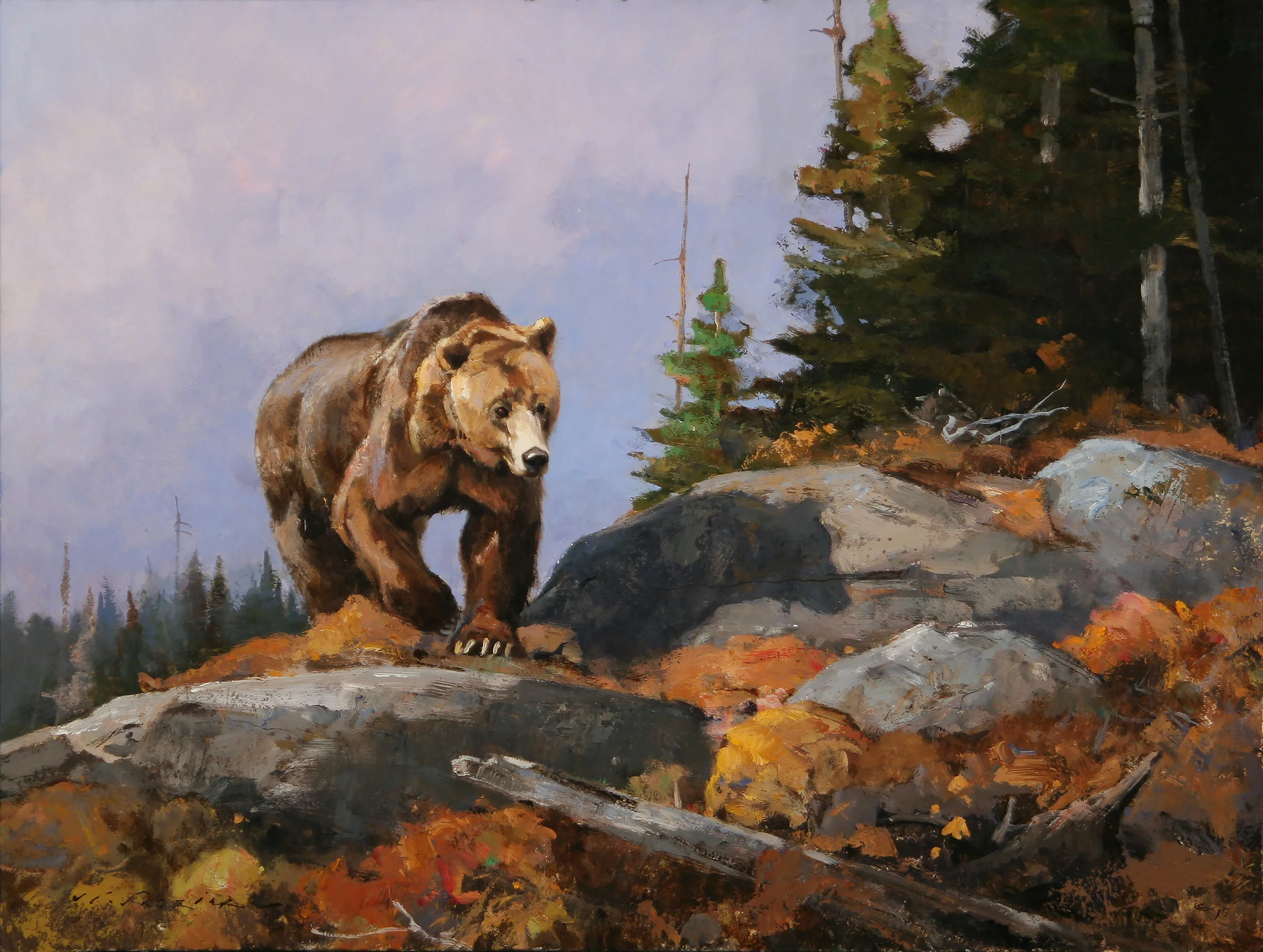"Grizzly Crossing the Divide" 18 x 24 Oil