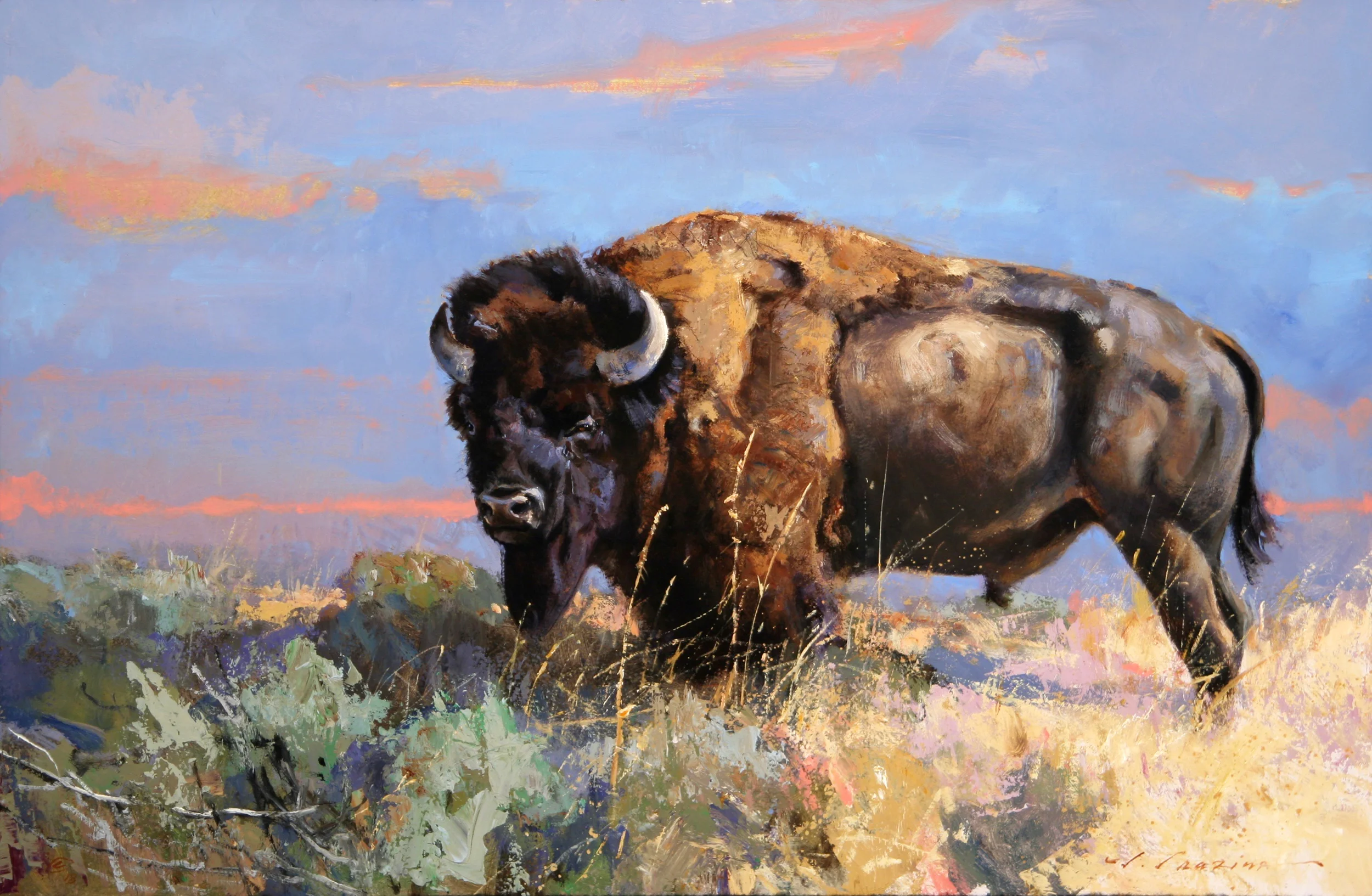 “Chieftain” 16 x 24 Oil (Briscoe Museum, San Antonio TX)