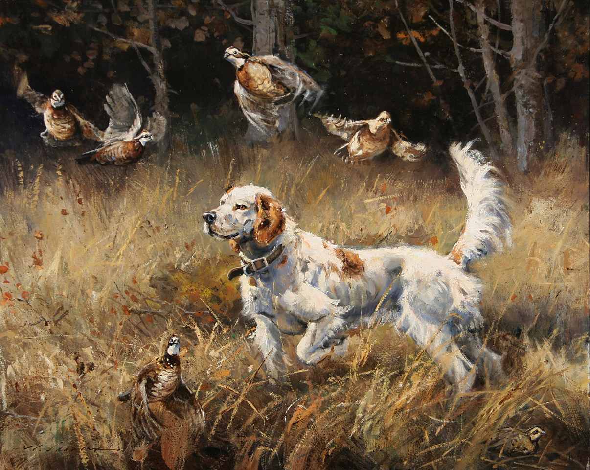 “Wild Wings” 24 x 30 Oil