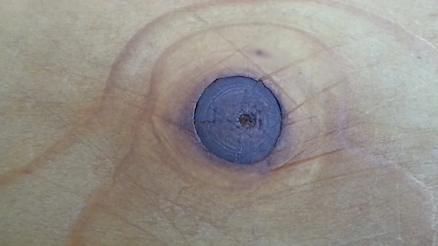 20140706_150443.jpg