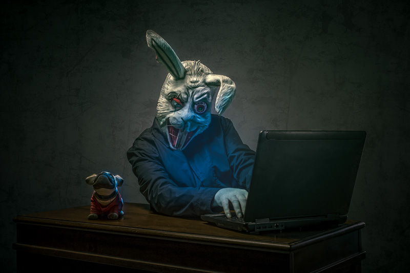 Anonymous Emailer Rabbit E-M1