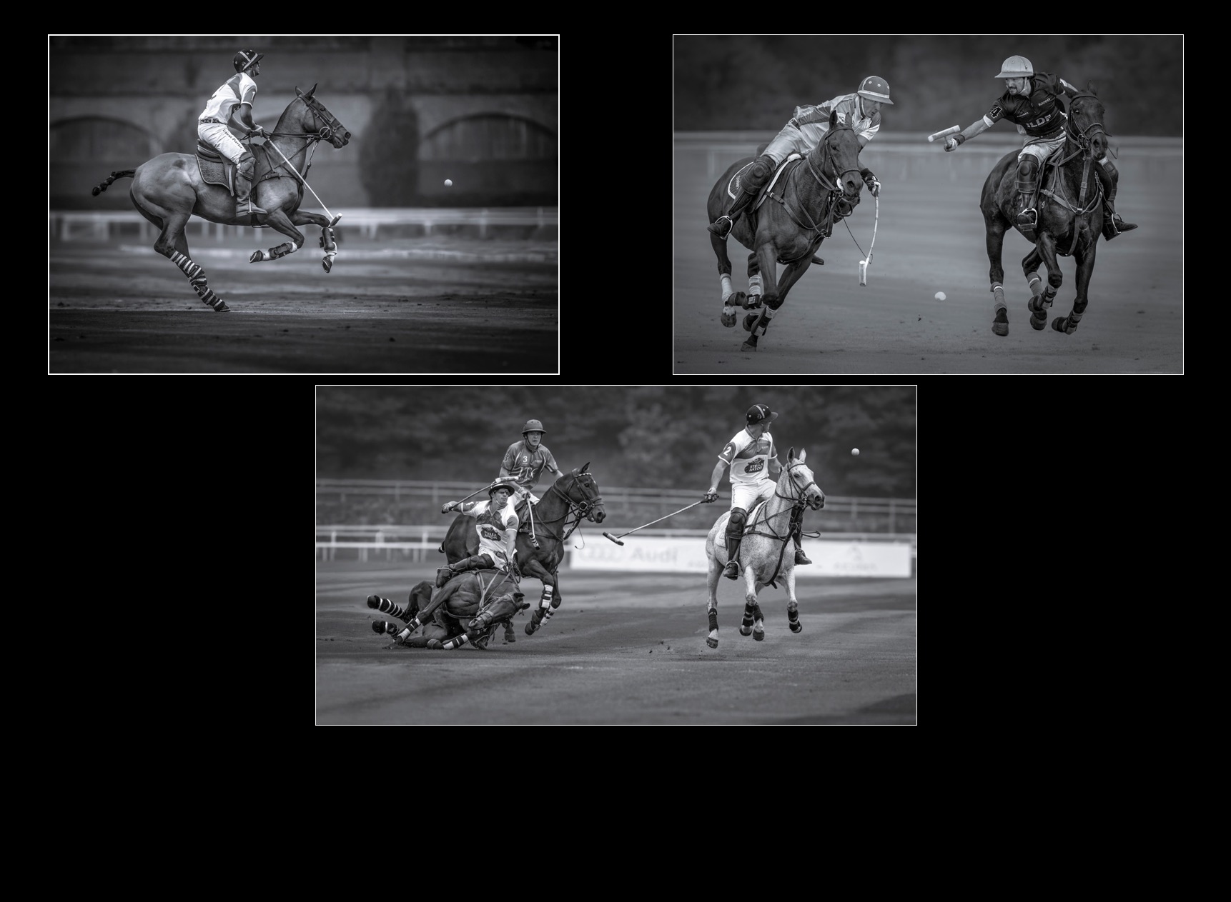 Polo - Silver Medal Award Winner - Monochrome Print