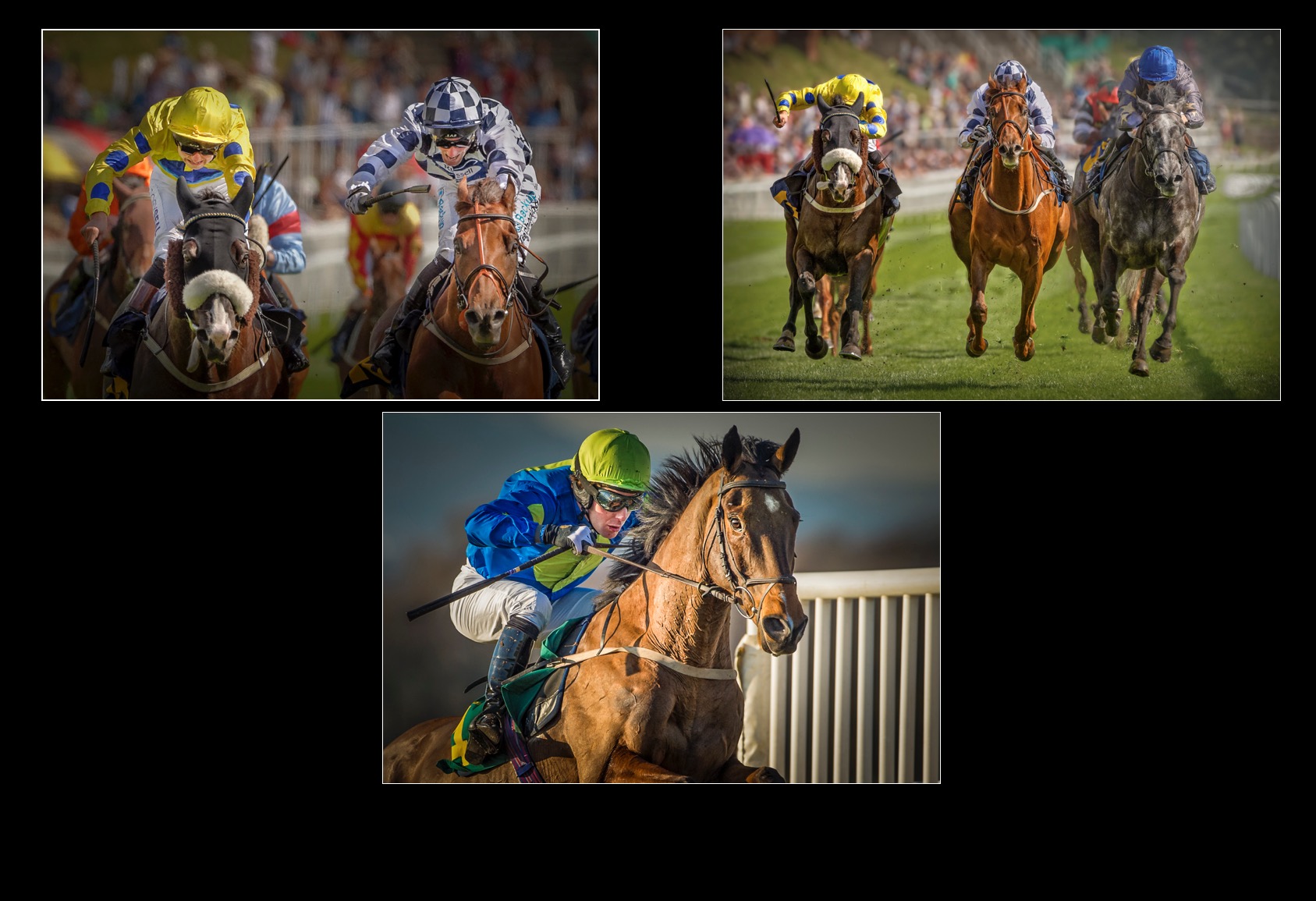 The Sport of Kings - Bronze Medal Award Winner - Colour Print