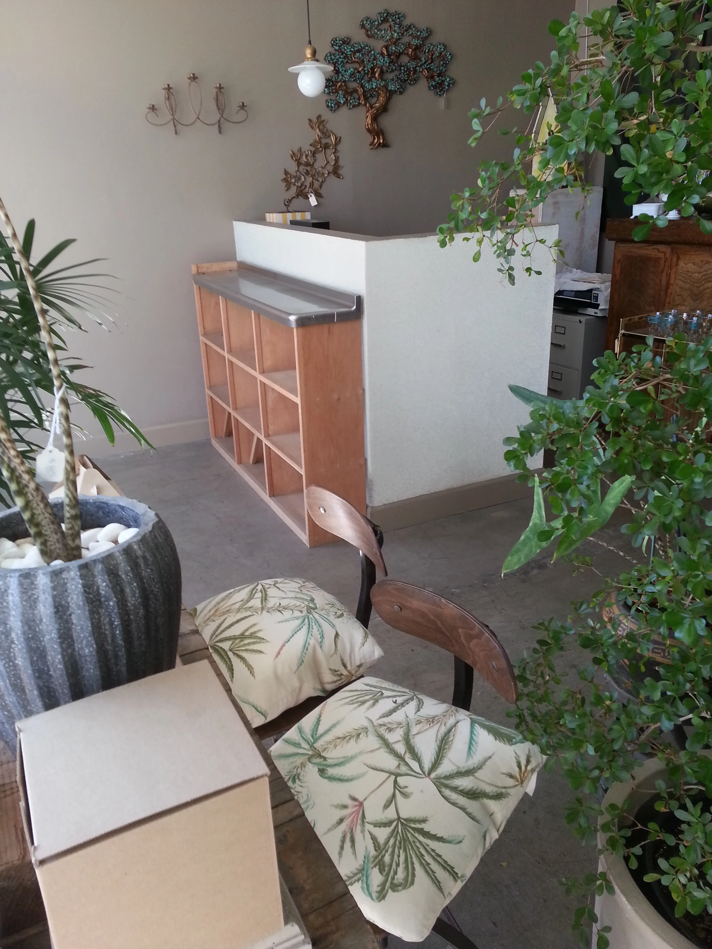 ROOT 2 BLOOM. EXISTING SALES COUNTER.