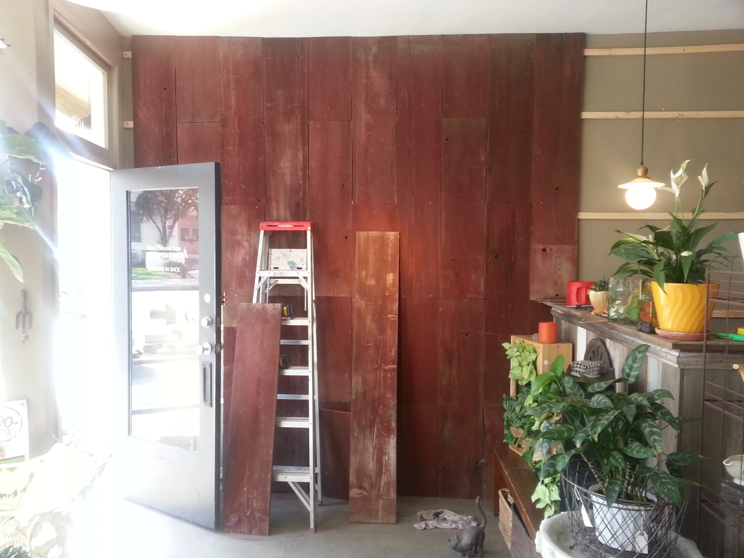 ROOT 2 BLOOM. NEW WALL GOING UP.