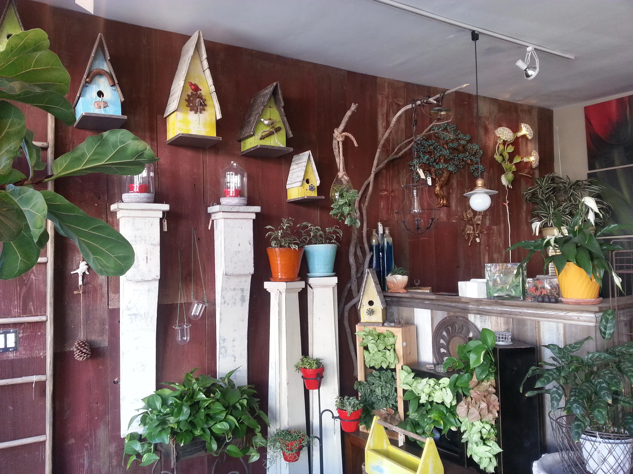 ROOT 2 BLOOM.&nbsp; A COMPLETE TRANSFORMATION.