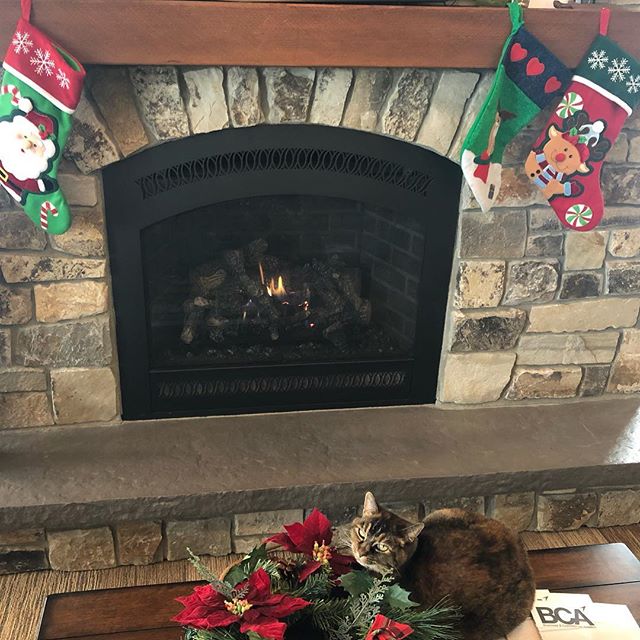 The purrrfect spot 🔥❤️ #cat #catsofinstagram #fbocat #windsock #graniteaviation #christmas #fireplace