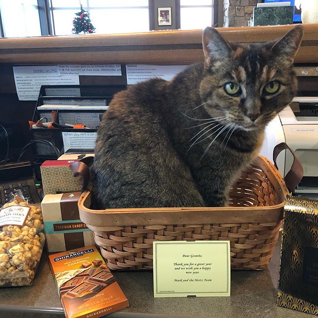 Guess Windsock likes gift baskets just as much as we do ☺️ Thank you, Hertz!