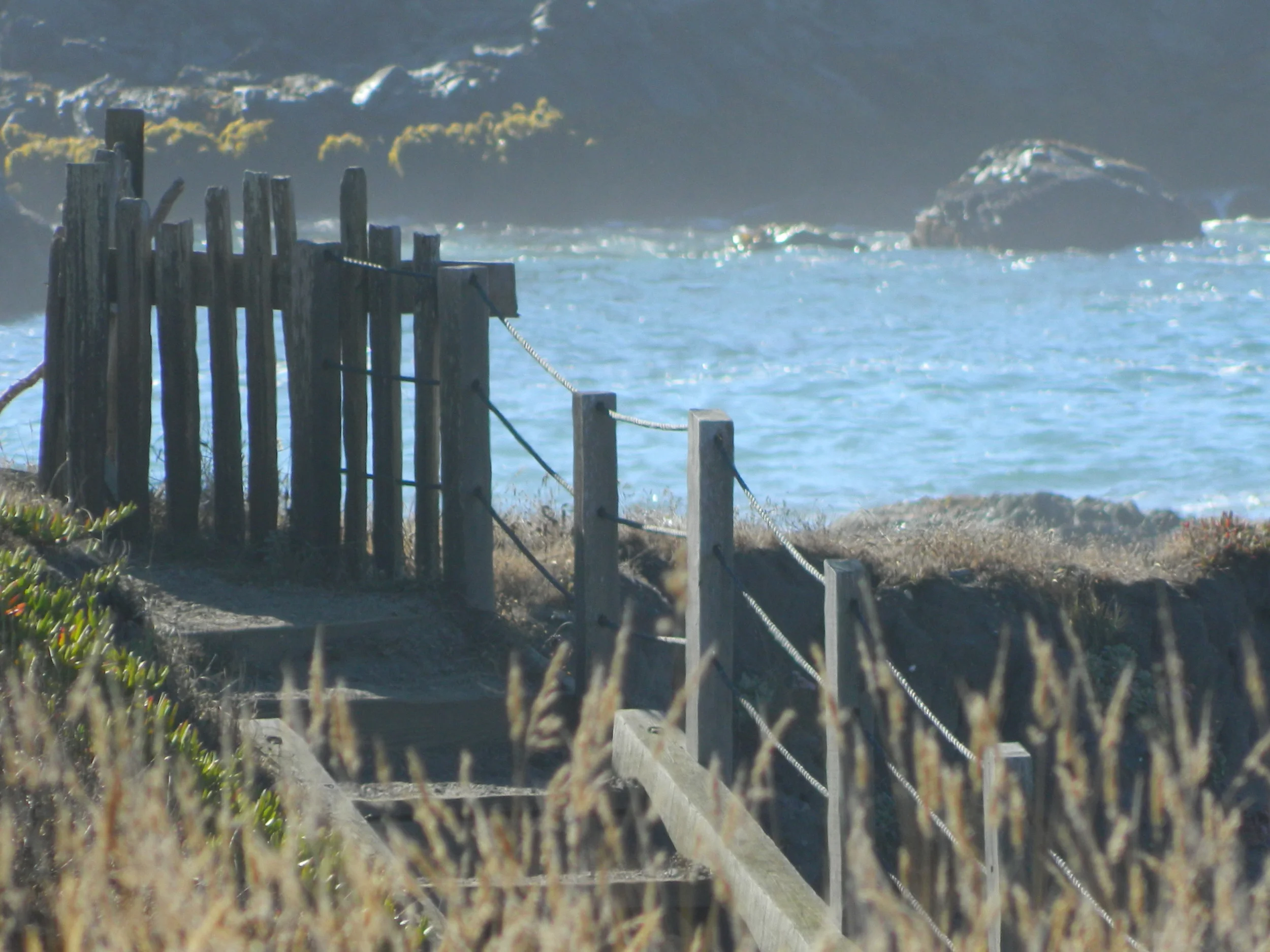 DSCN0550.JPG