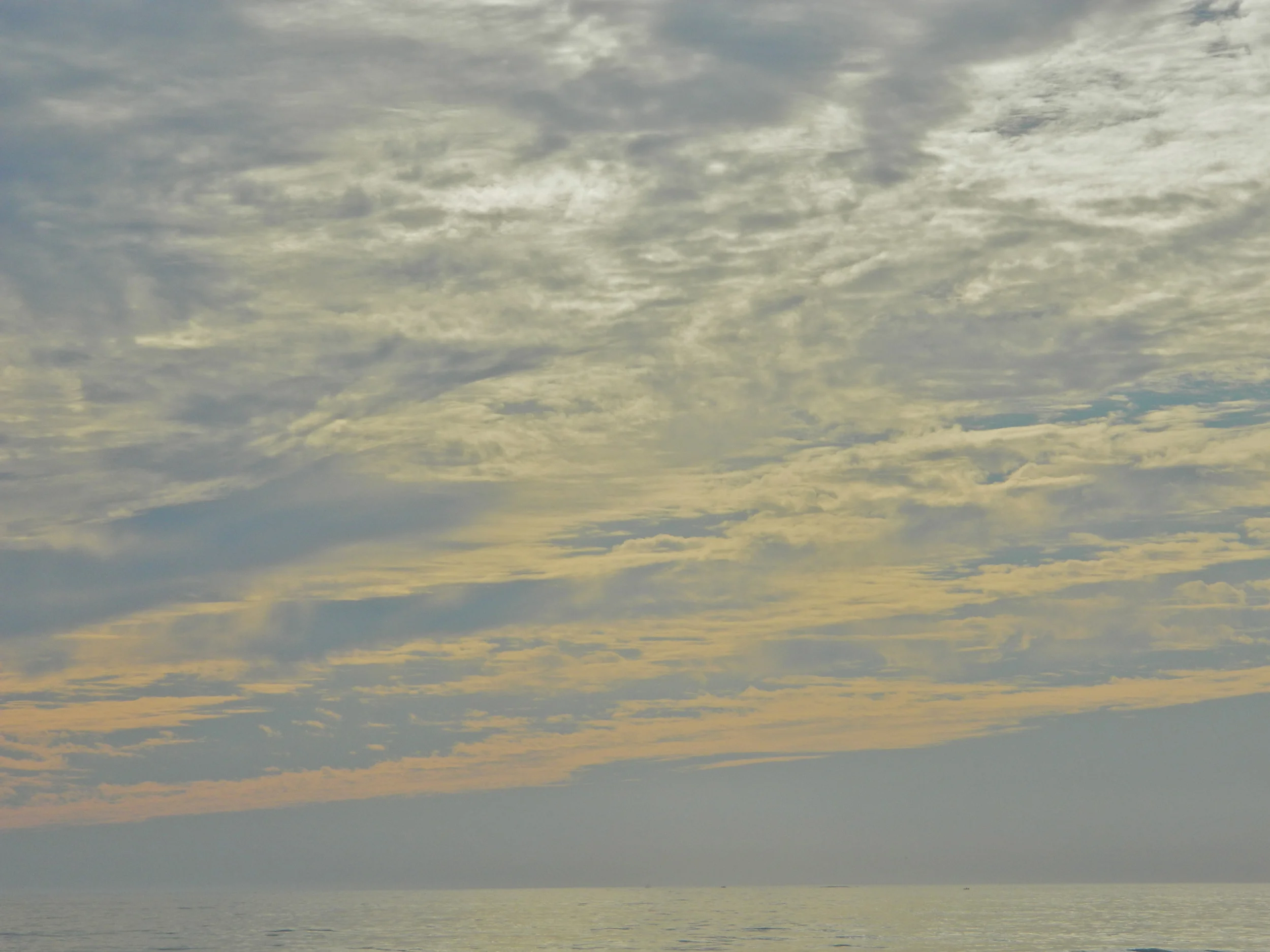 DSCN0709.JPG