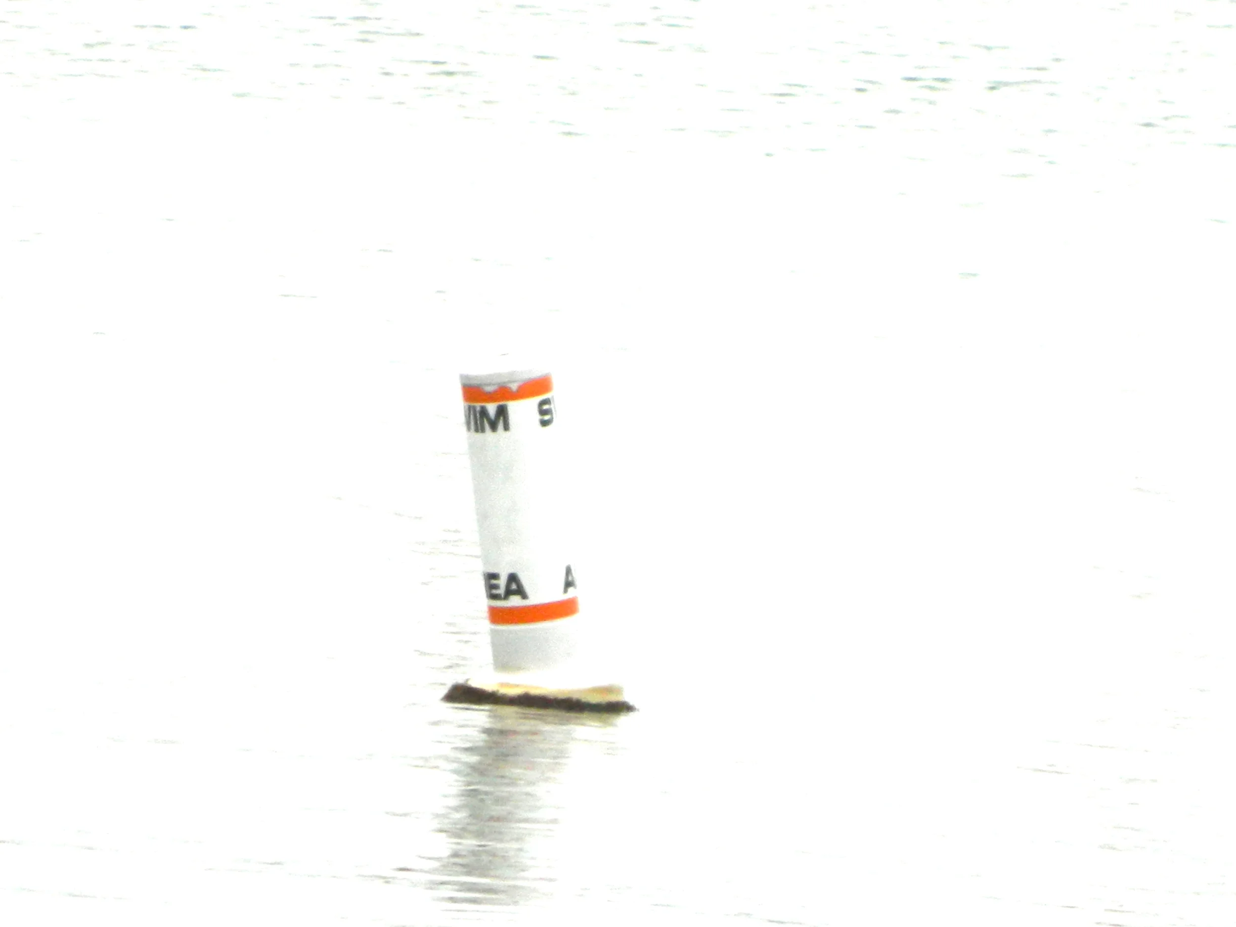 DSCN0343.JPG